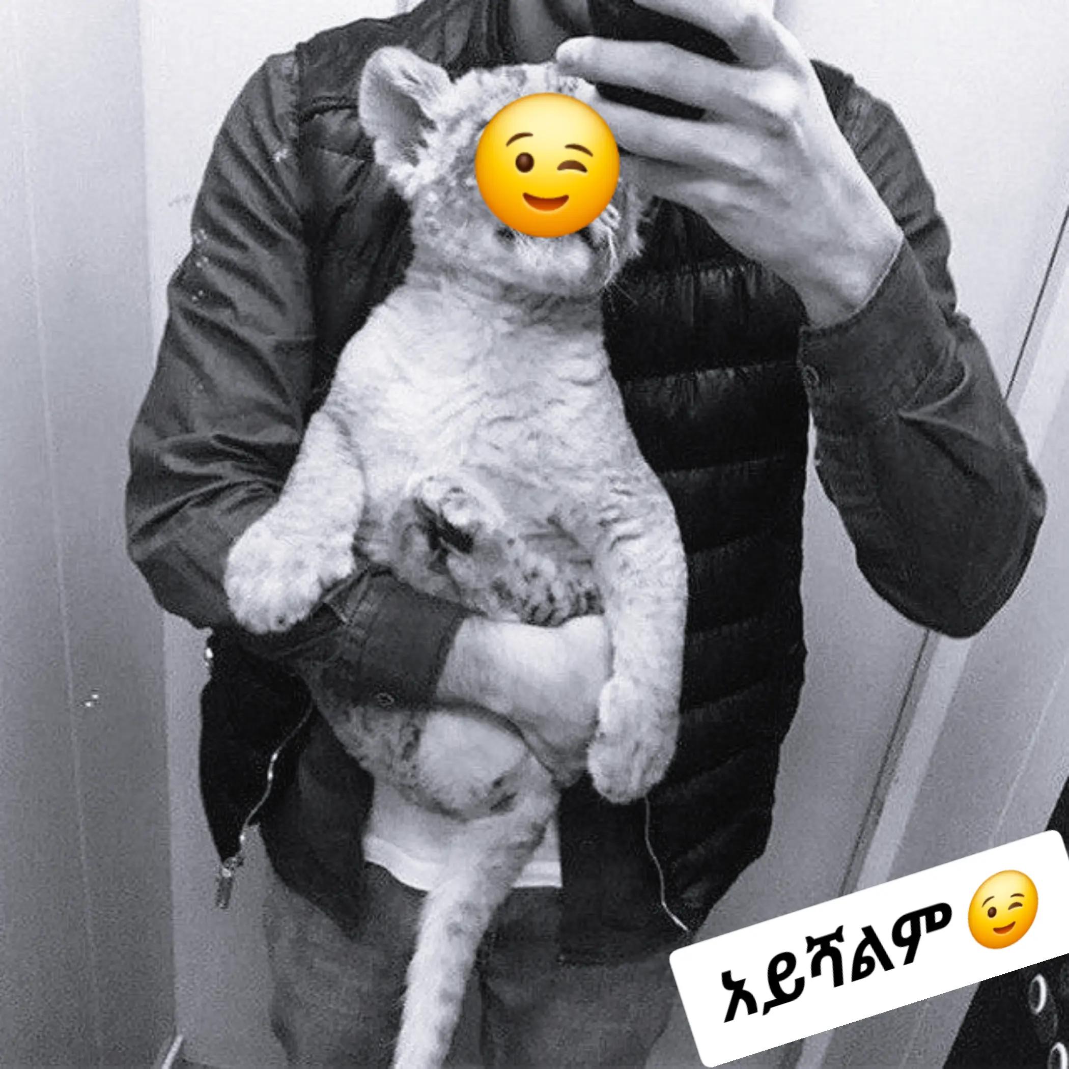 @✿ፍትህ ⚖️𓊉꧂ ᵗᵒᶠⁱᵏ ▓ ►🏹