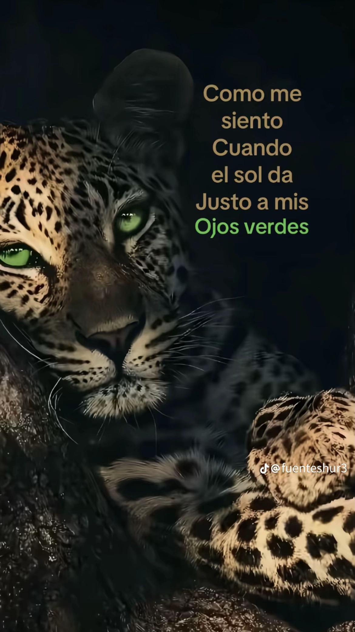 @𓆰 laconch4detumare𓆪