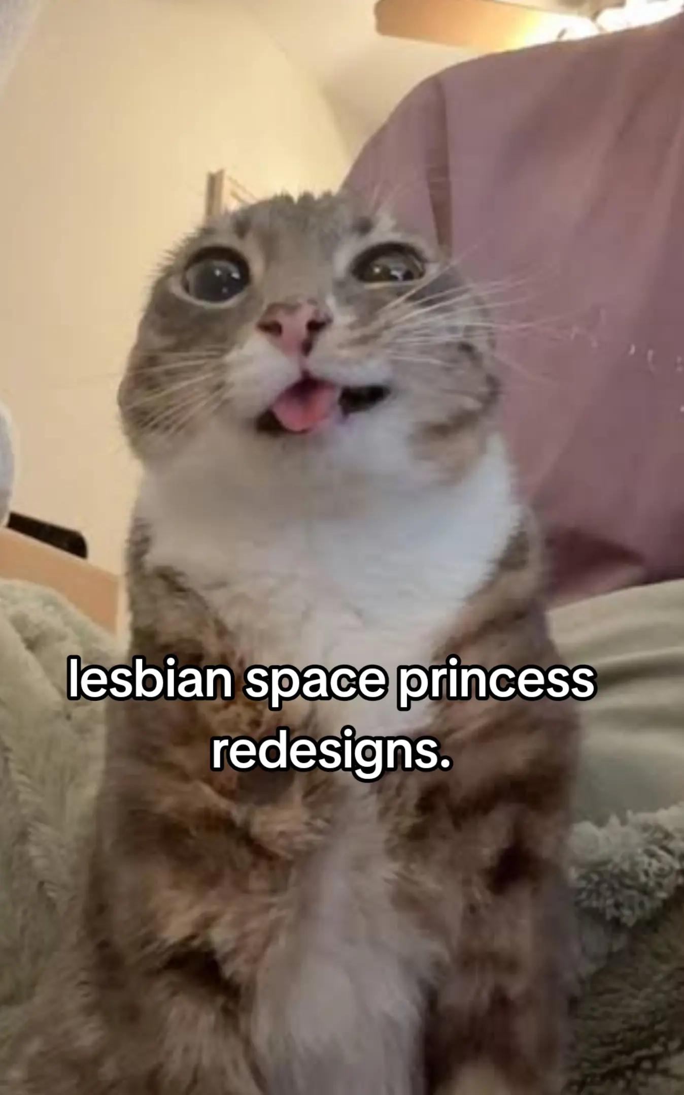 @kittsquared