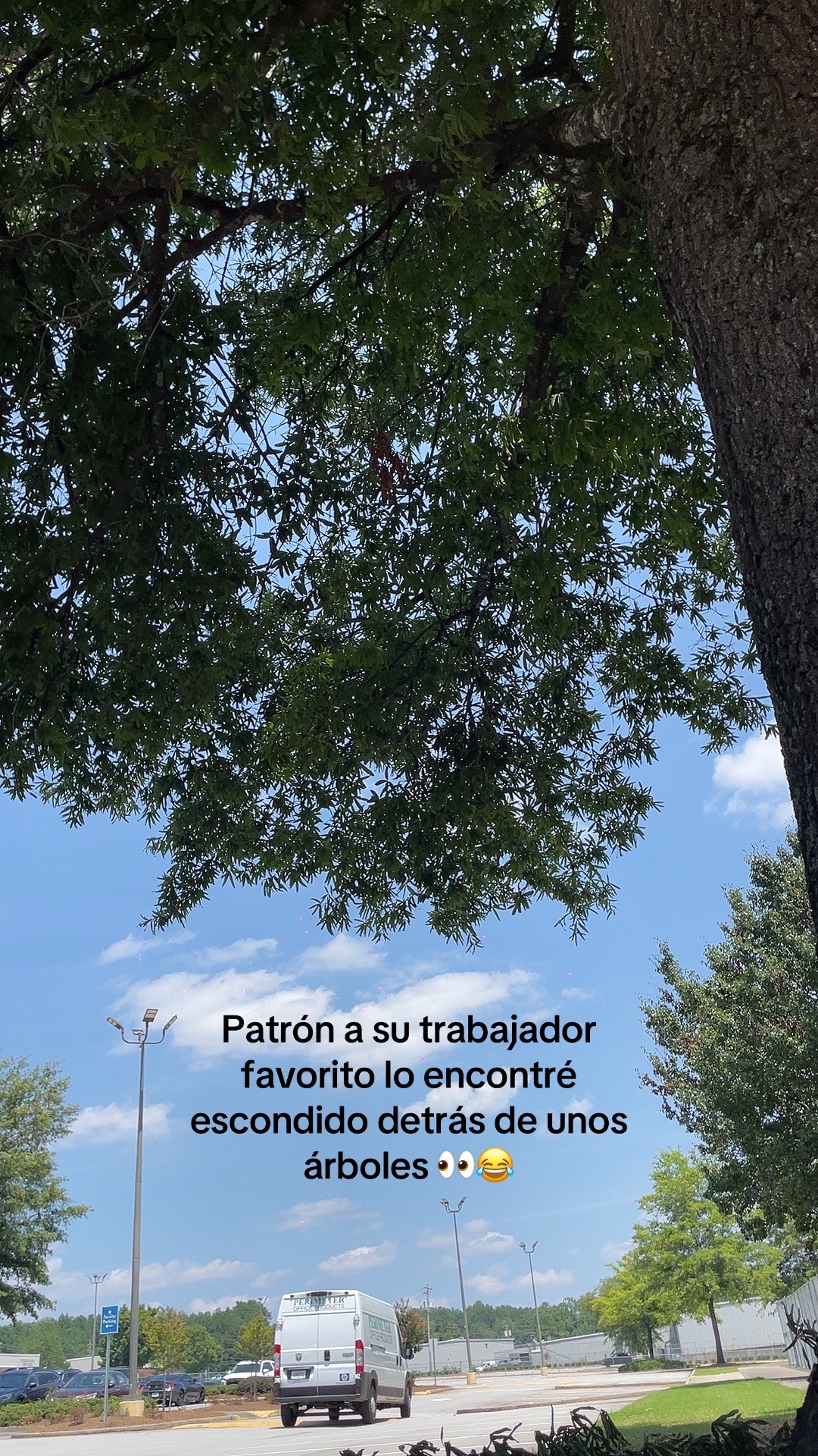@Carlitos Sv 🇸🇻