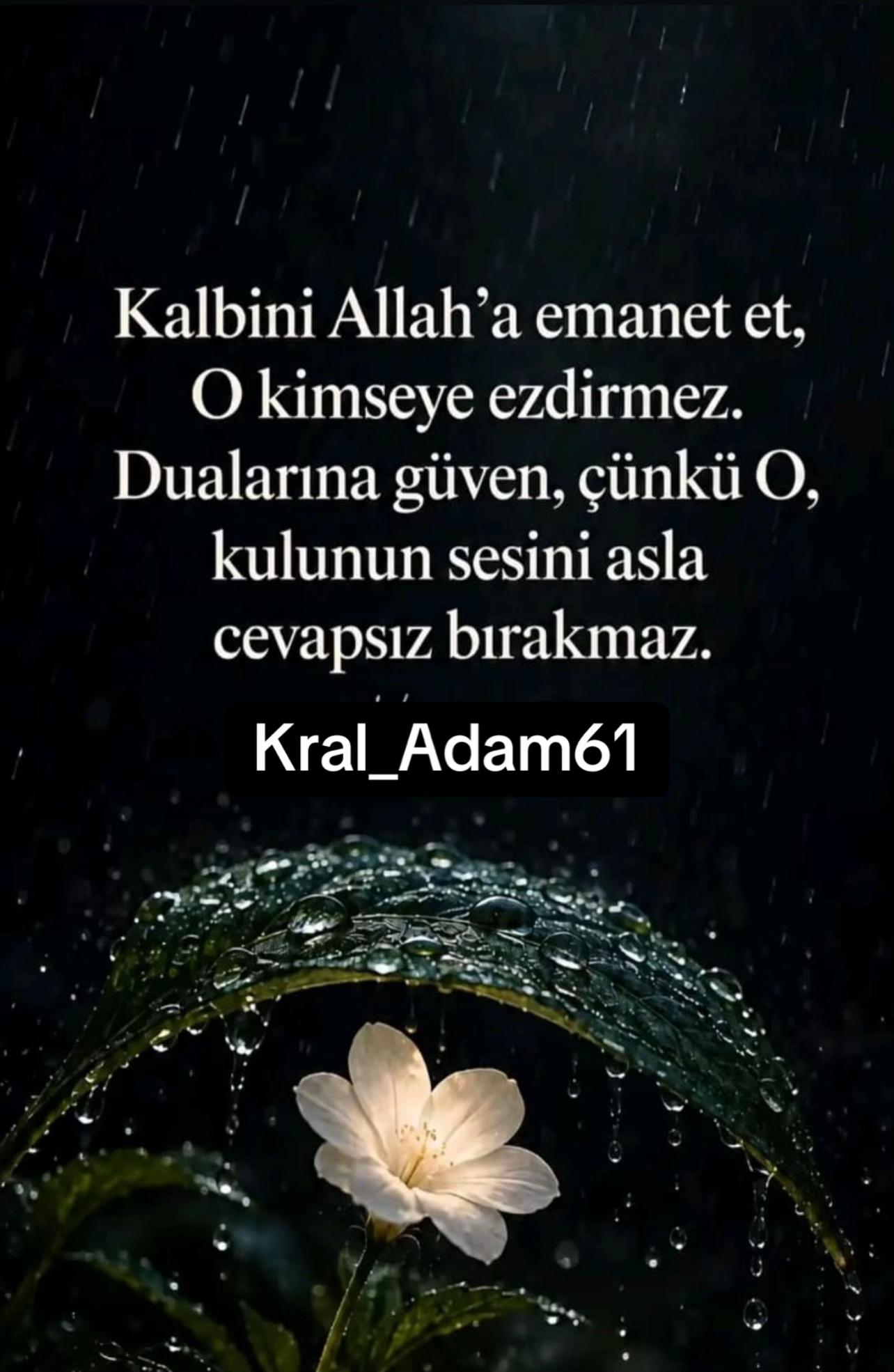@erdal.akyasan.61