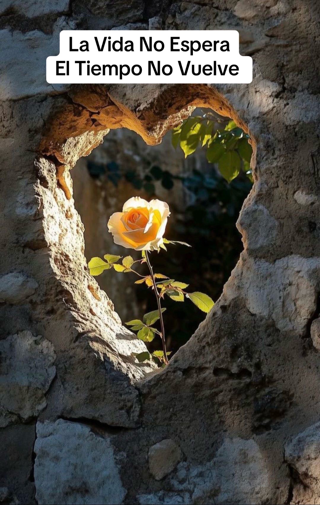 @⋆.˚🦋༘⋆⟭⟬⁷ Nɪᴋɪᴛᴀ JĦ&Oslash;₱Ɇ🐿️🦜