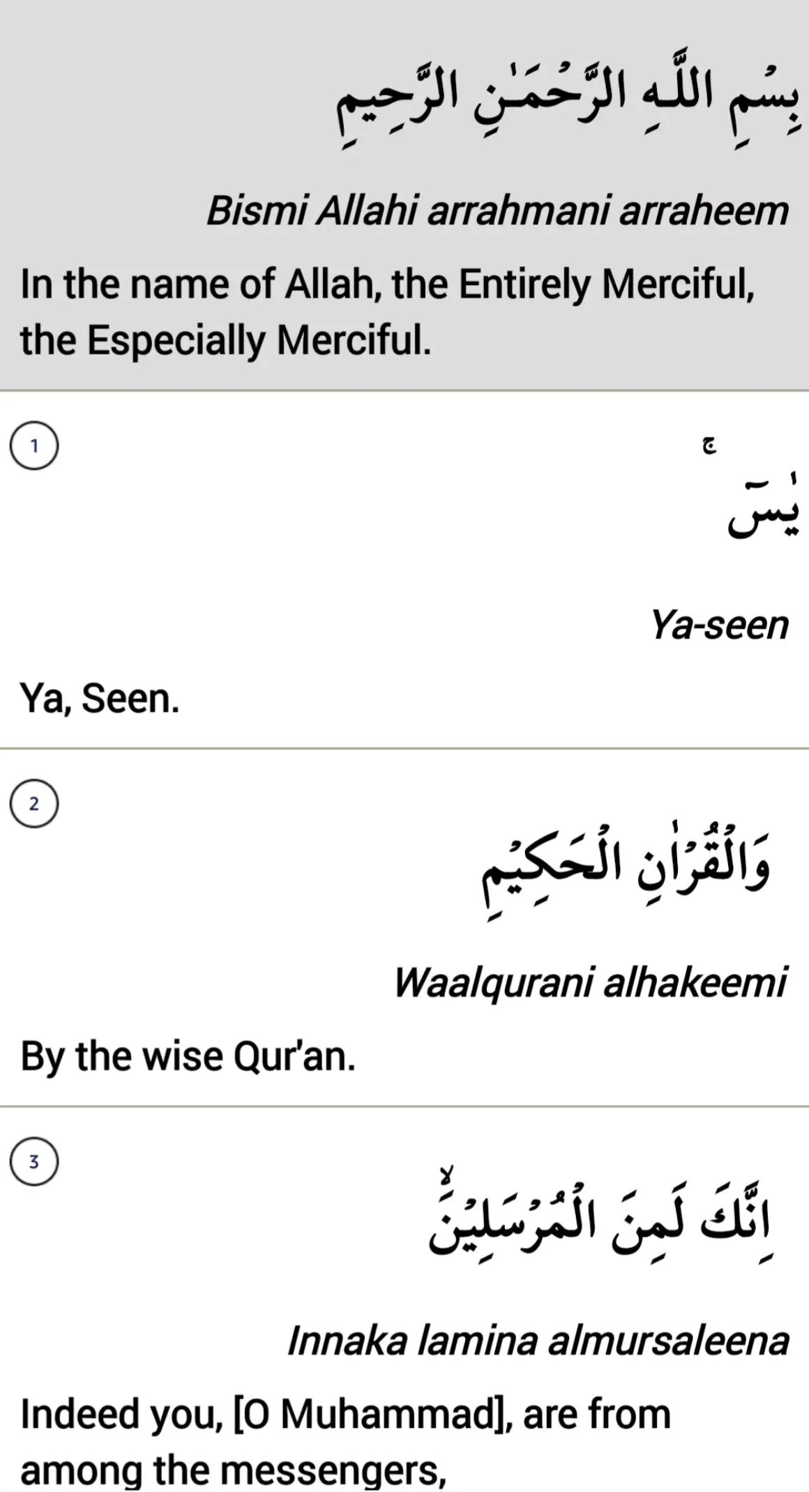 @Al Islam ✅