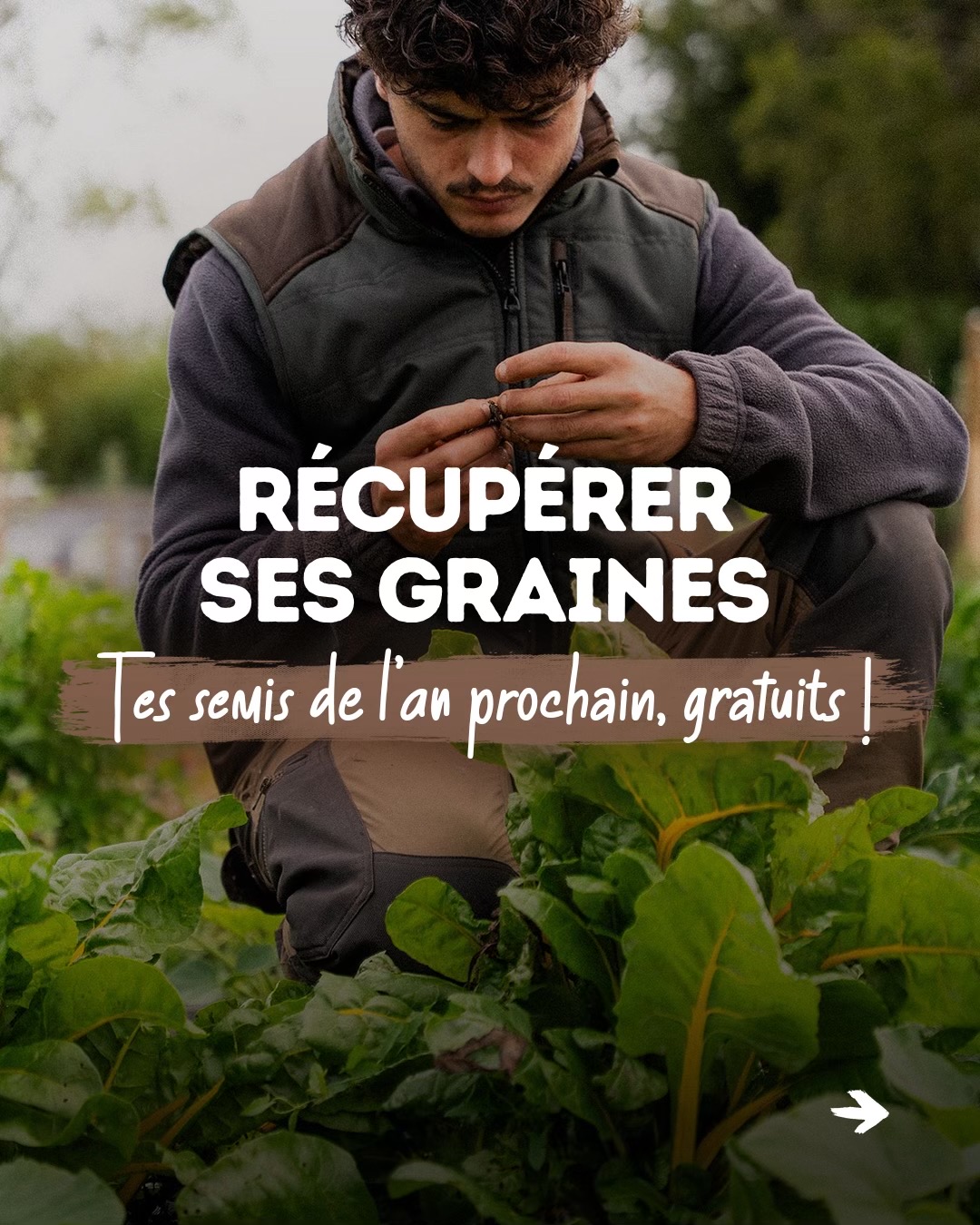 @Goran Le Permaculteur