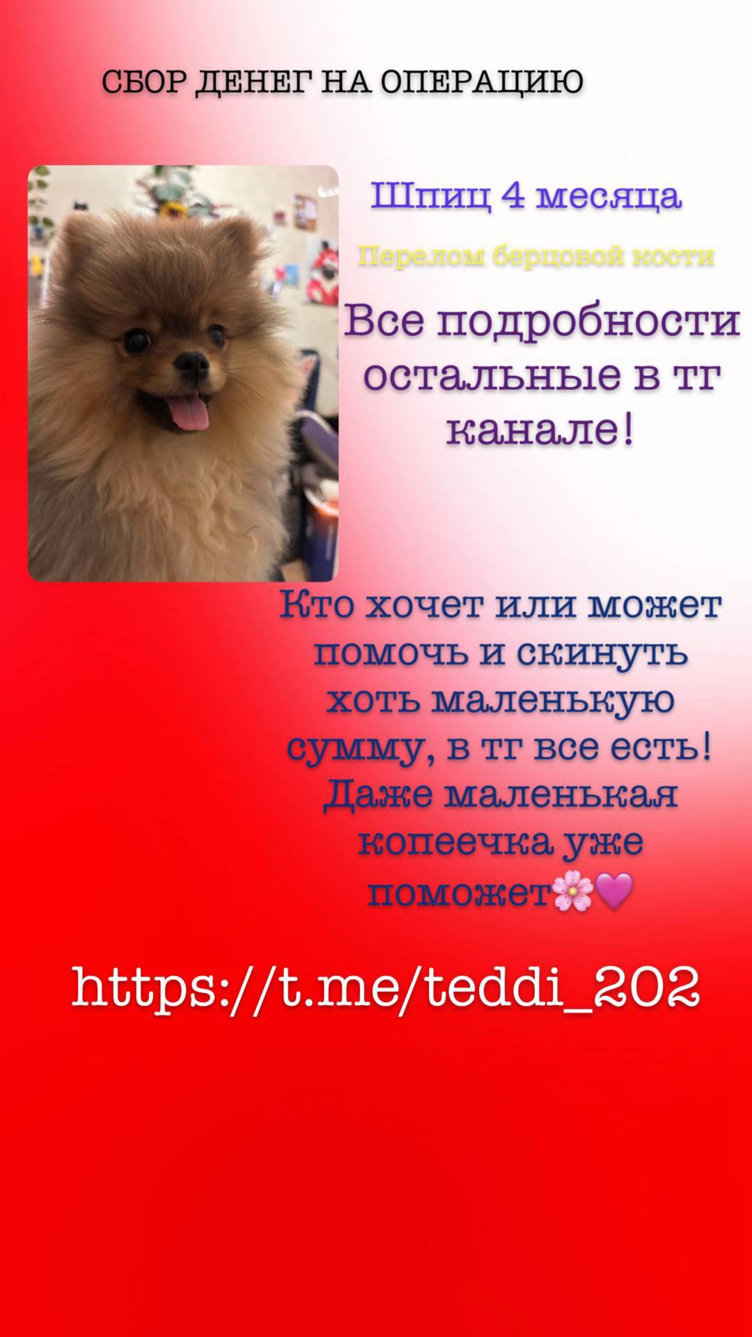 @Panterka