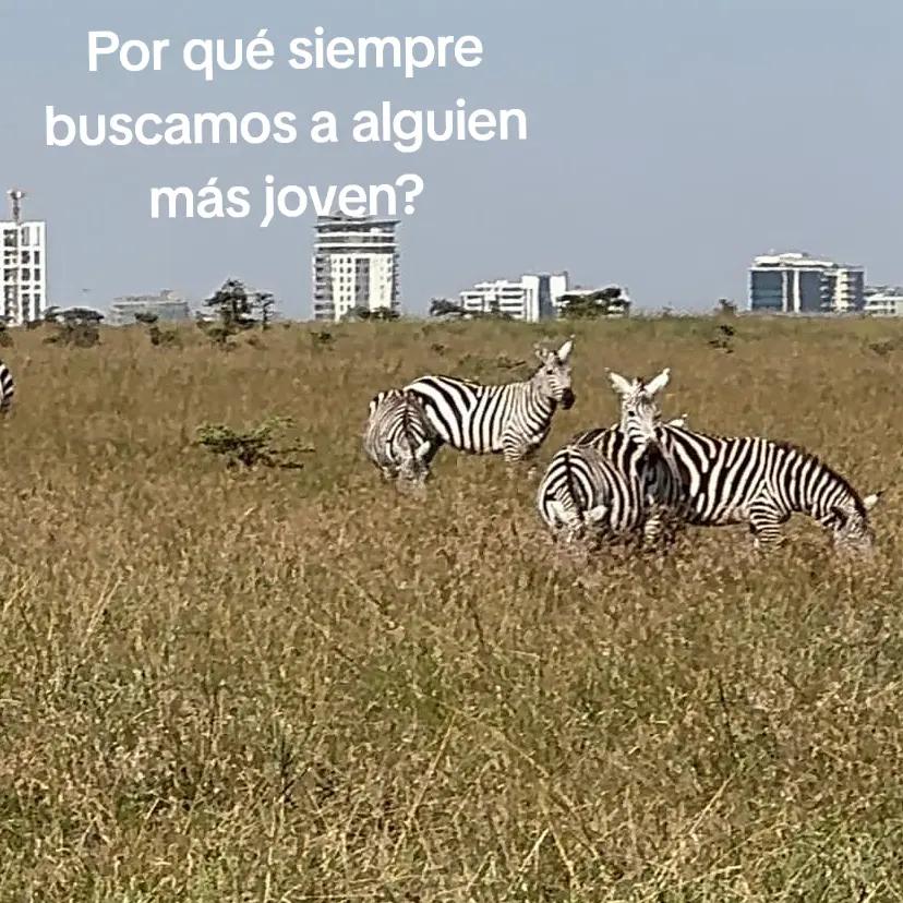 @putosescritos