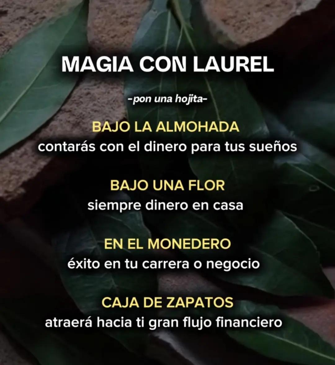 @Esoterismo y abundancia ☘️