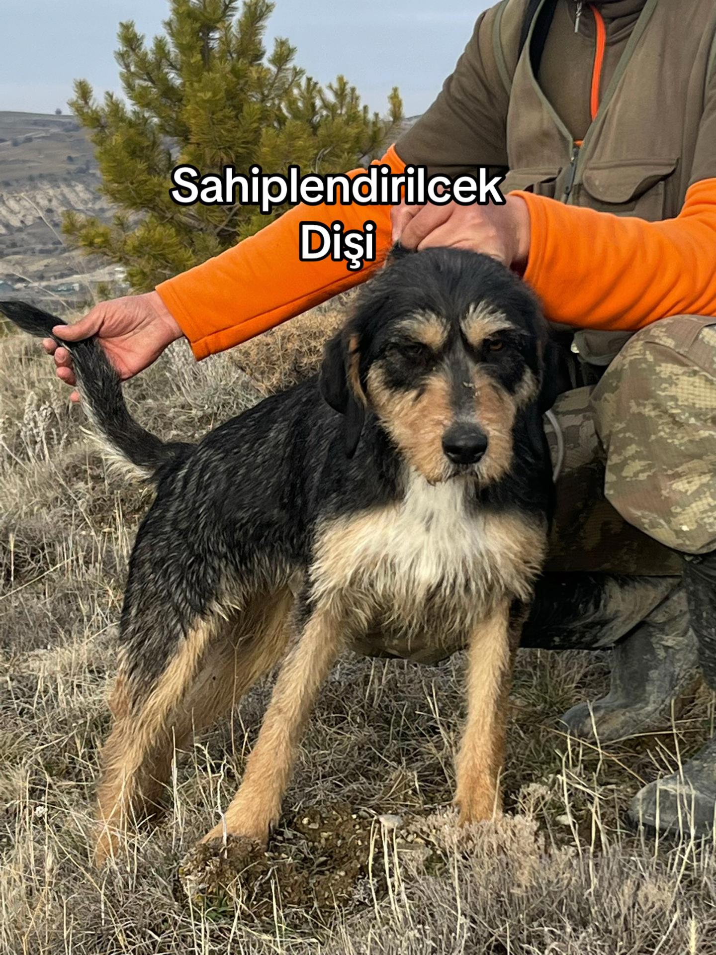 @Nuri