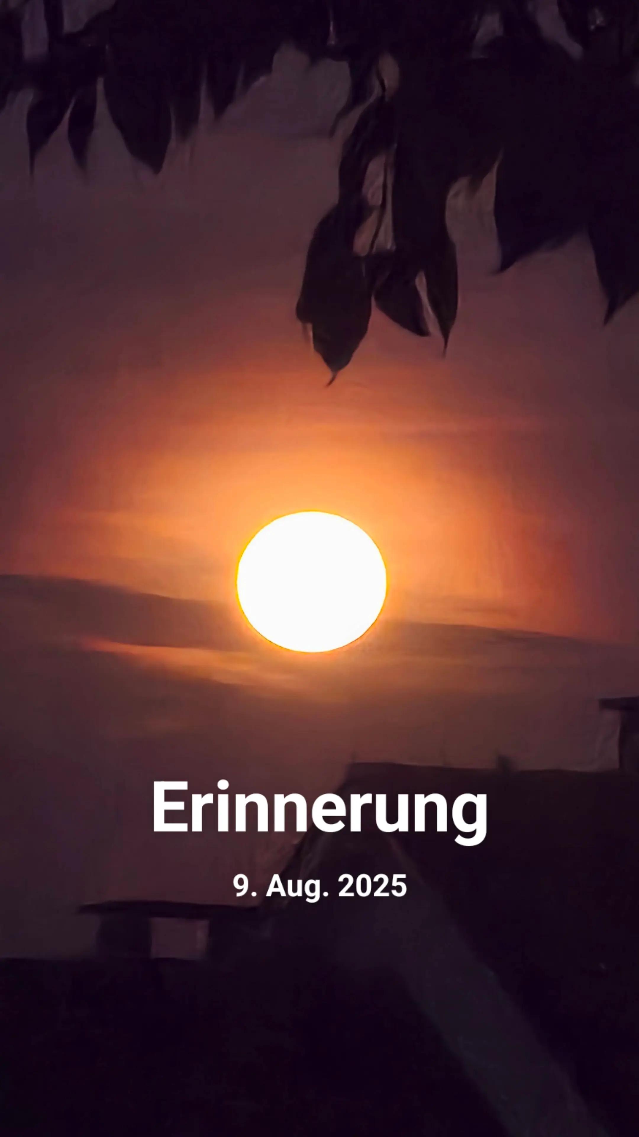 @Sonja