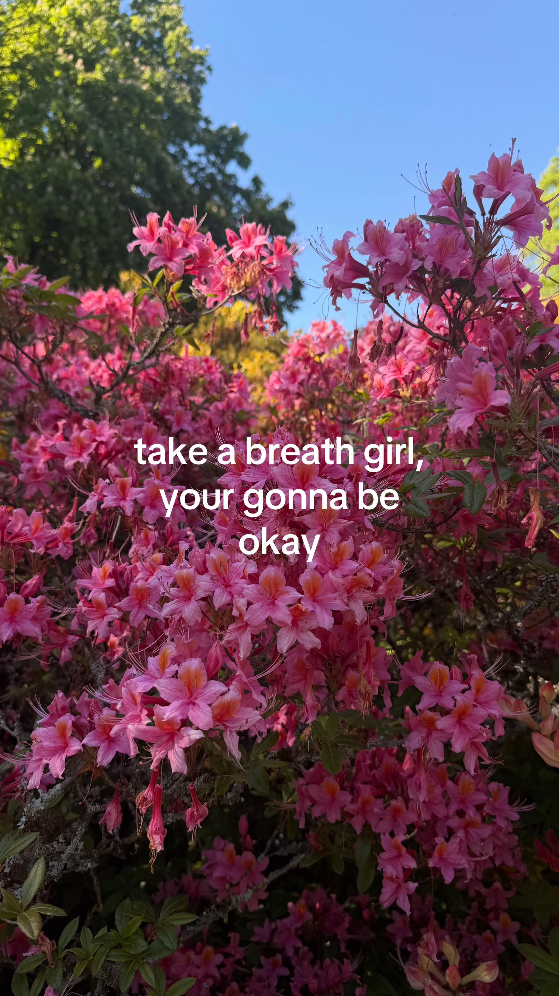 @سينا’🌸
