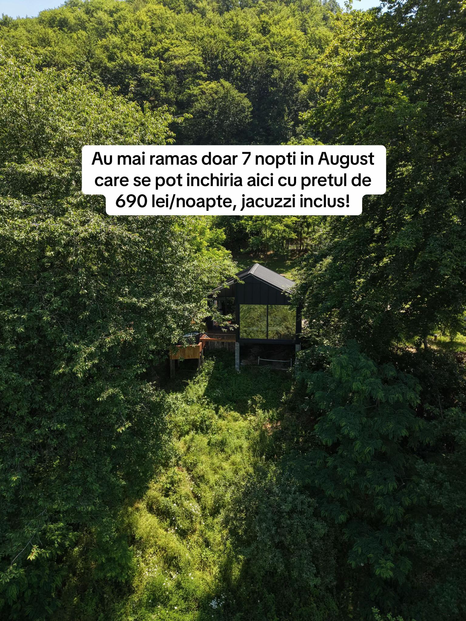 @Forest View Valcea