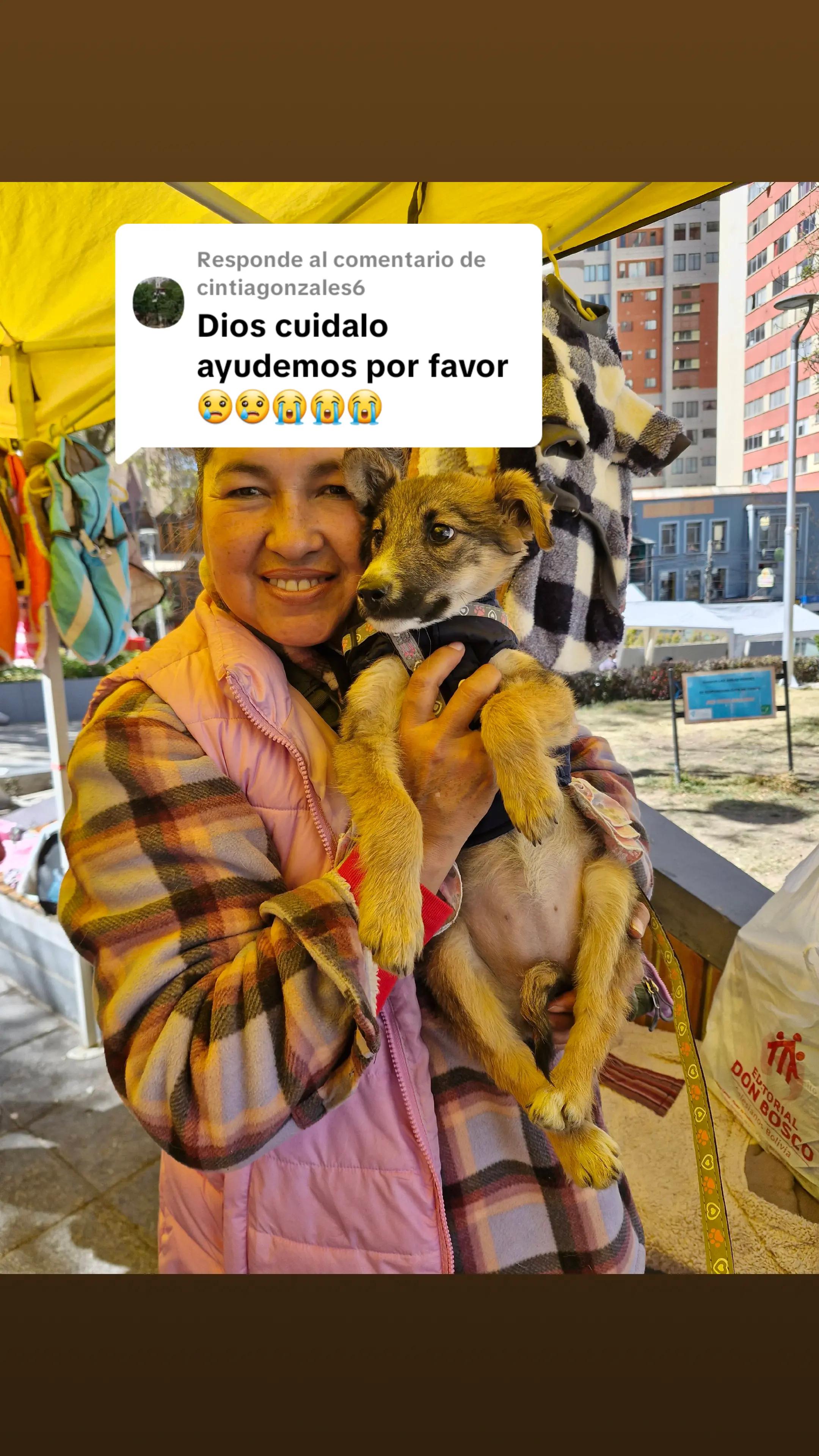 @Fundacion Huellitas