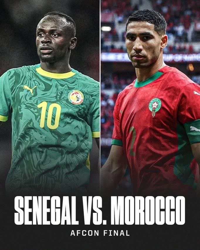 @🇲🇦 Moroccan Lion 🦁
