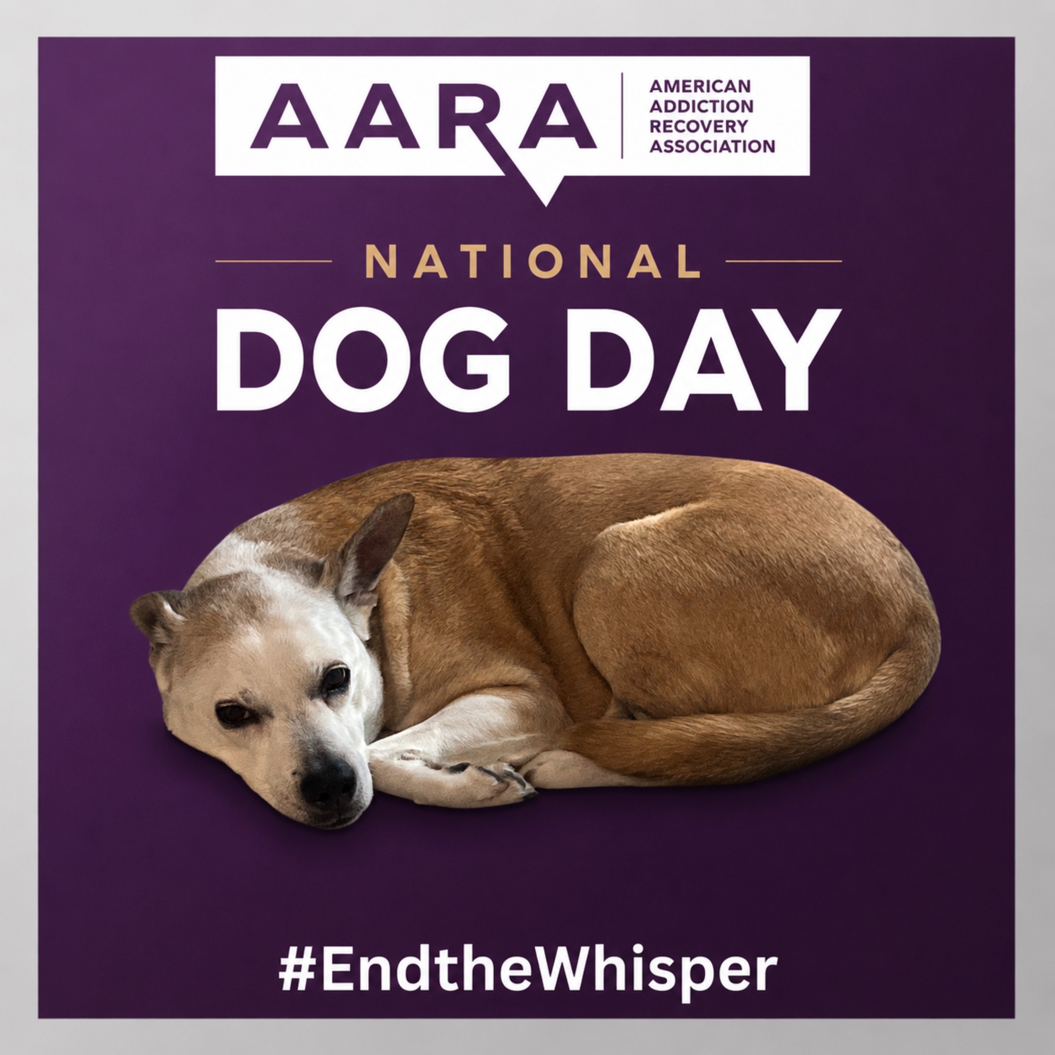 @AARA END THE WHISPER