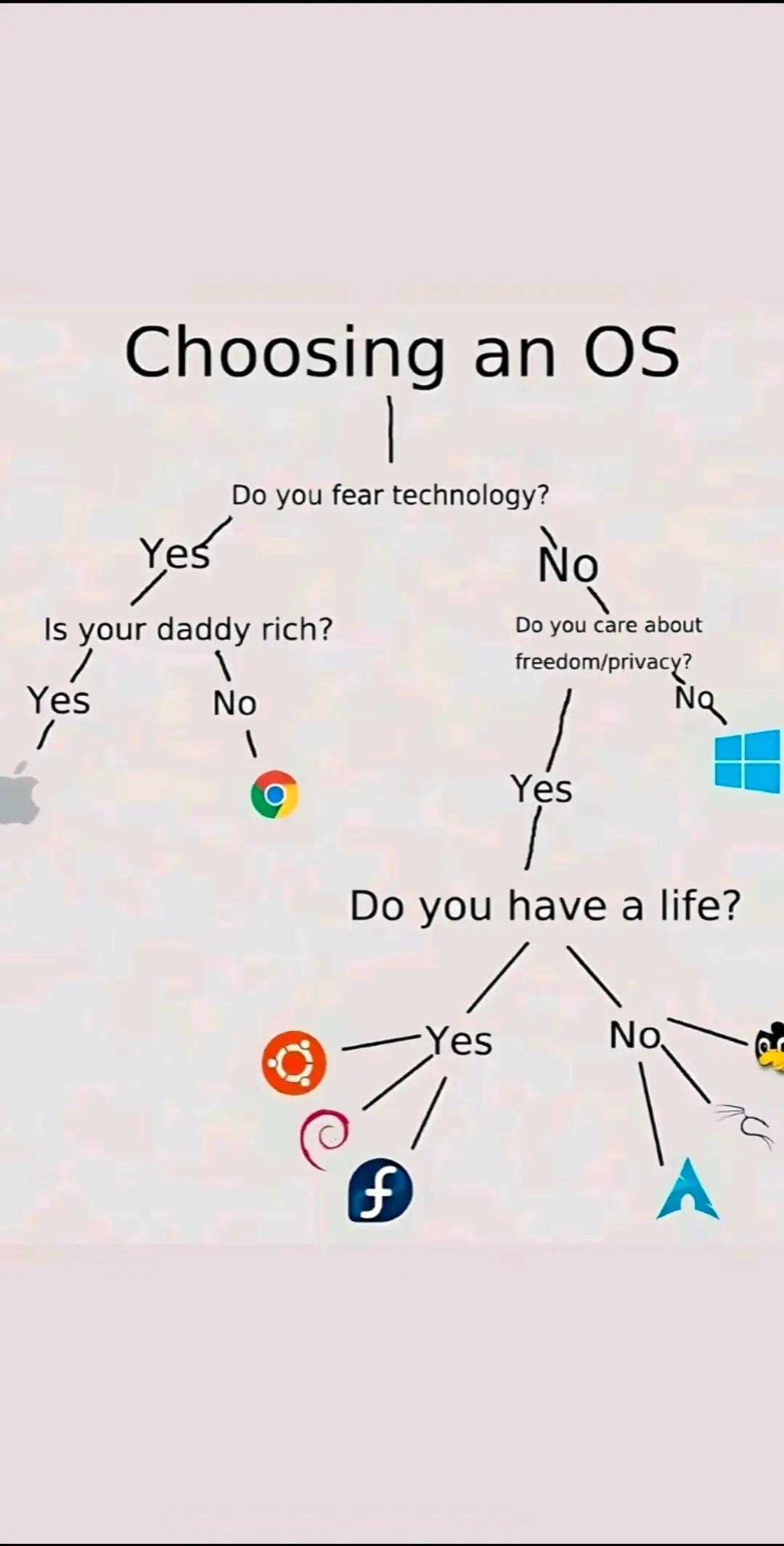 @nolu56