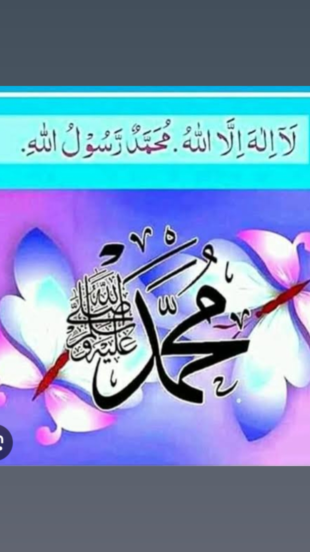 @hassan