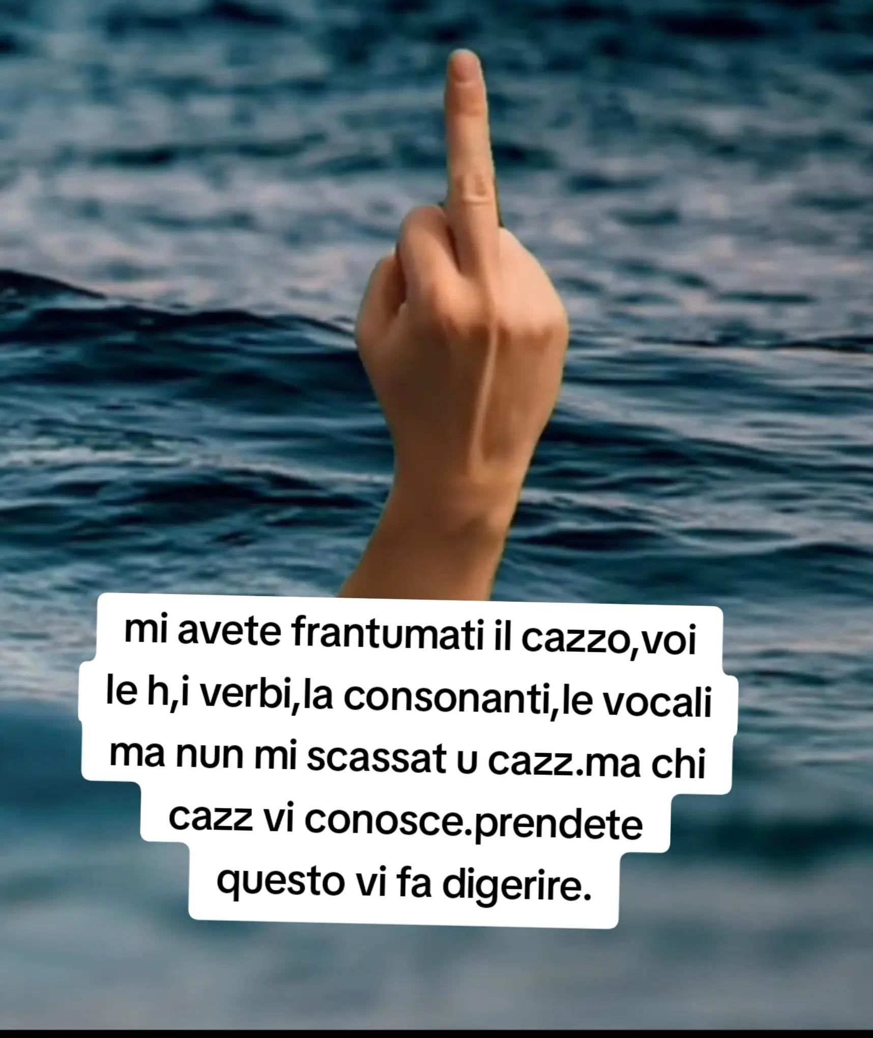 @ciropugliese379