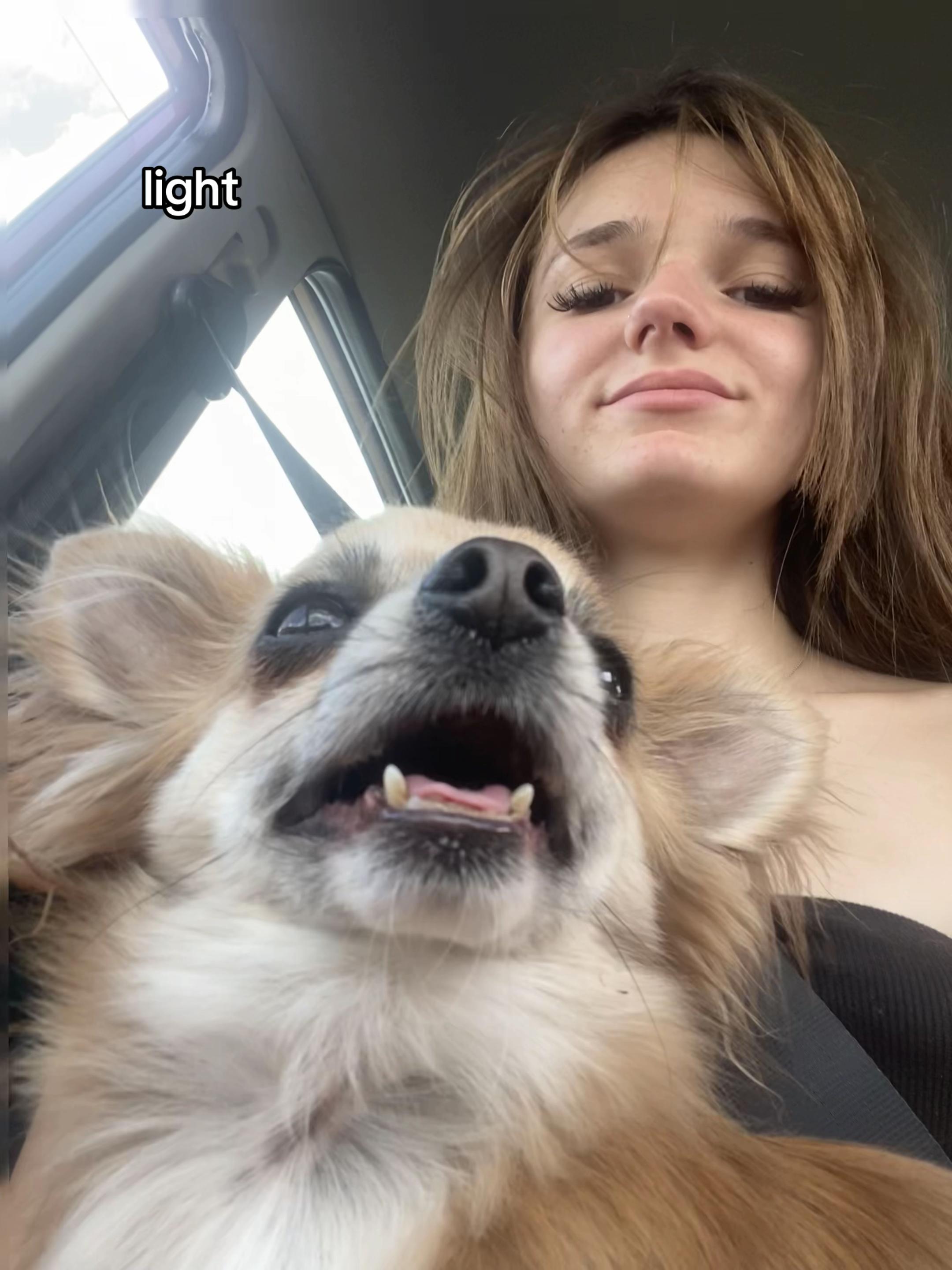 @๏ธ
