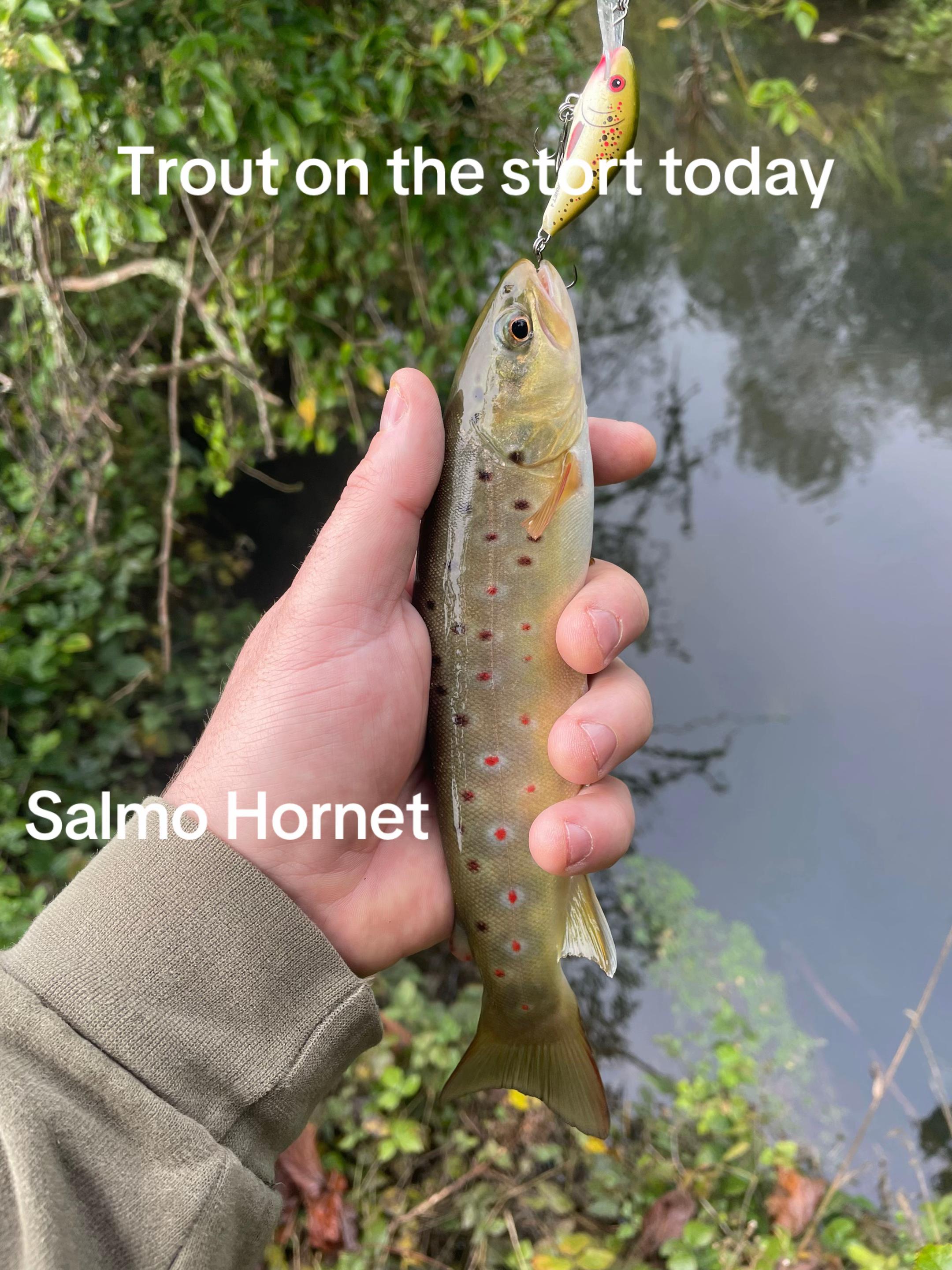 @Mental elf fishin