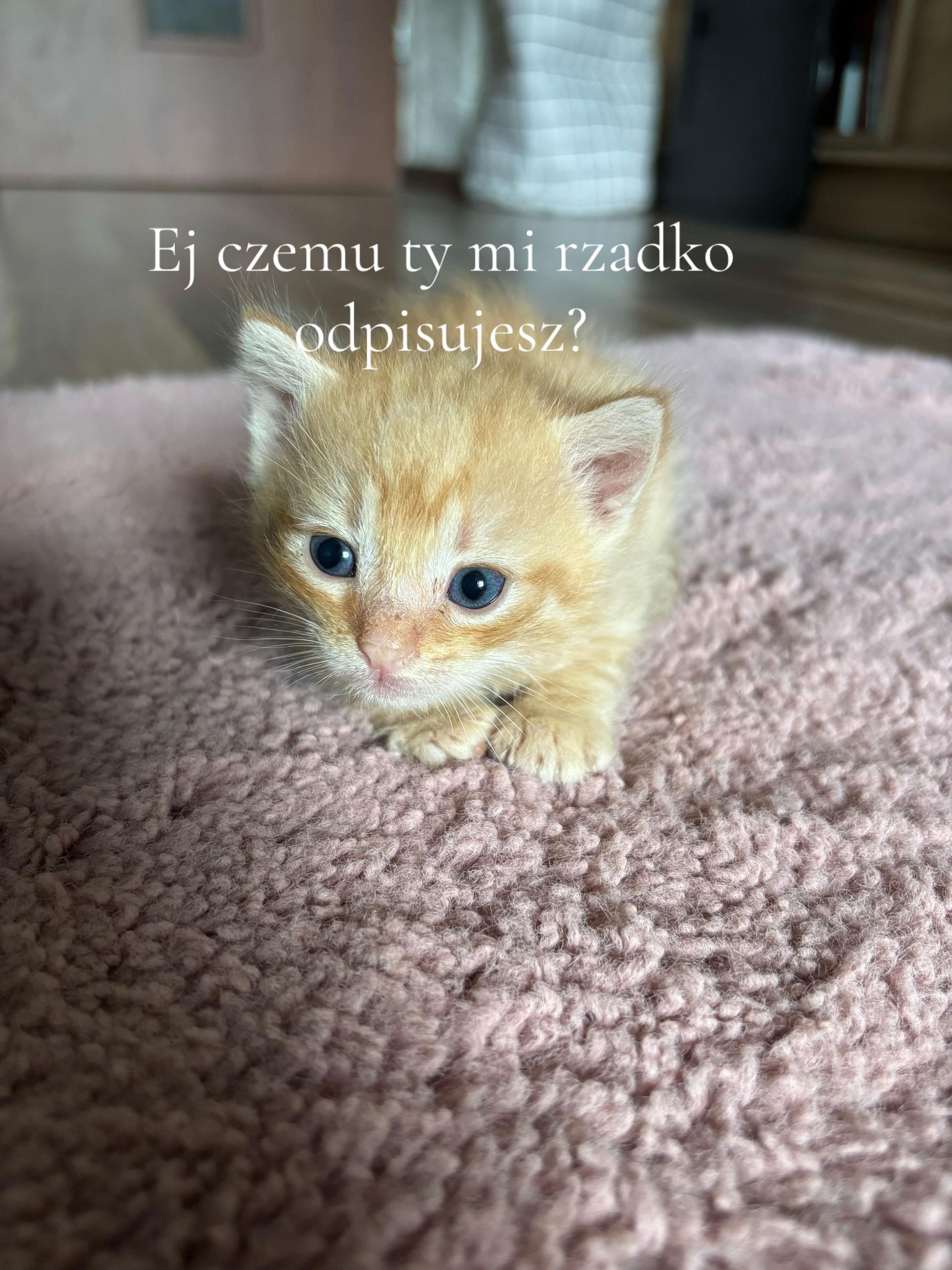 @nelkakelka