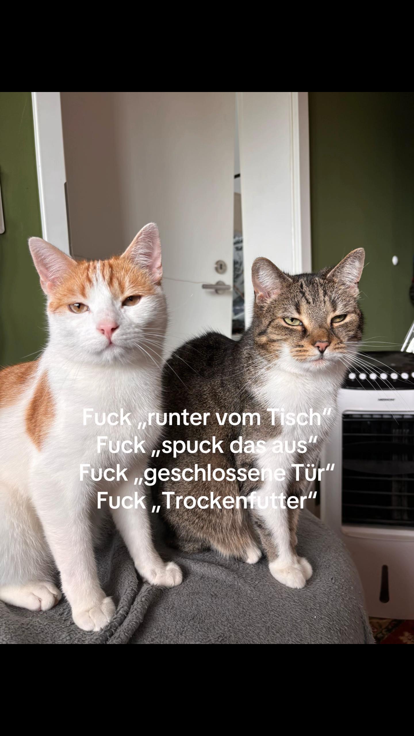 @Tiere des Waldes