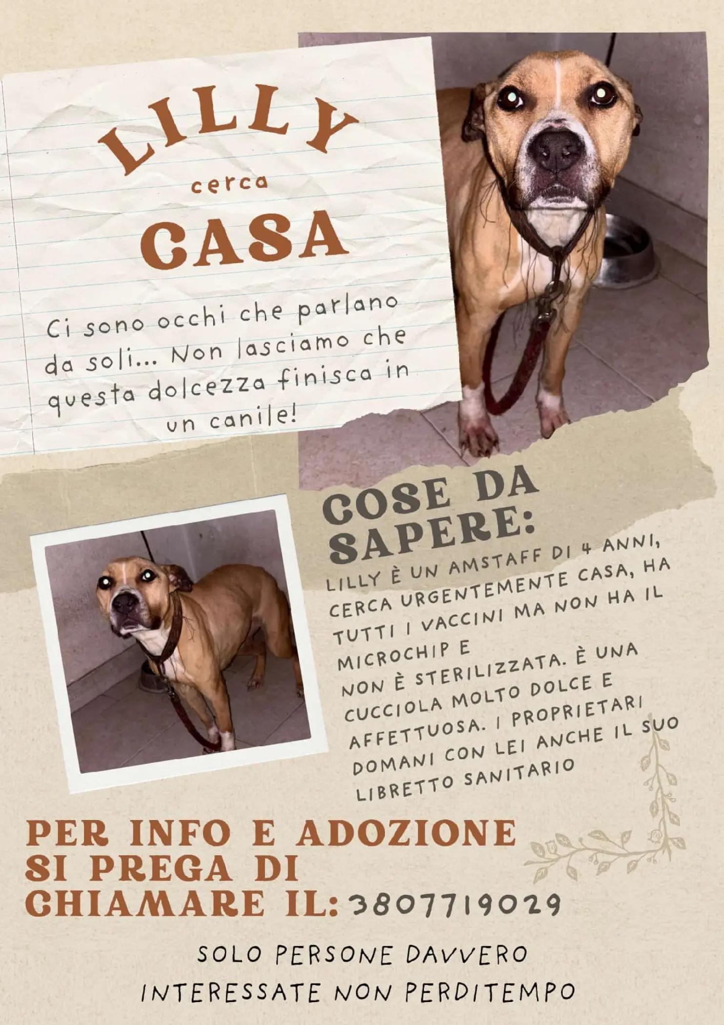 @Maria Luisa D'alterio