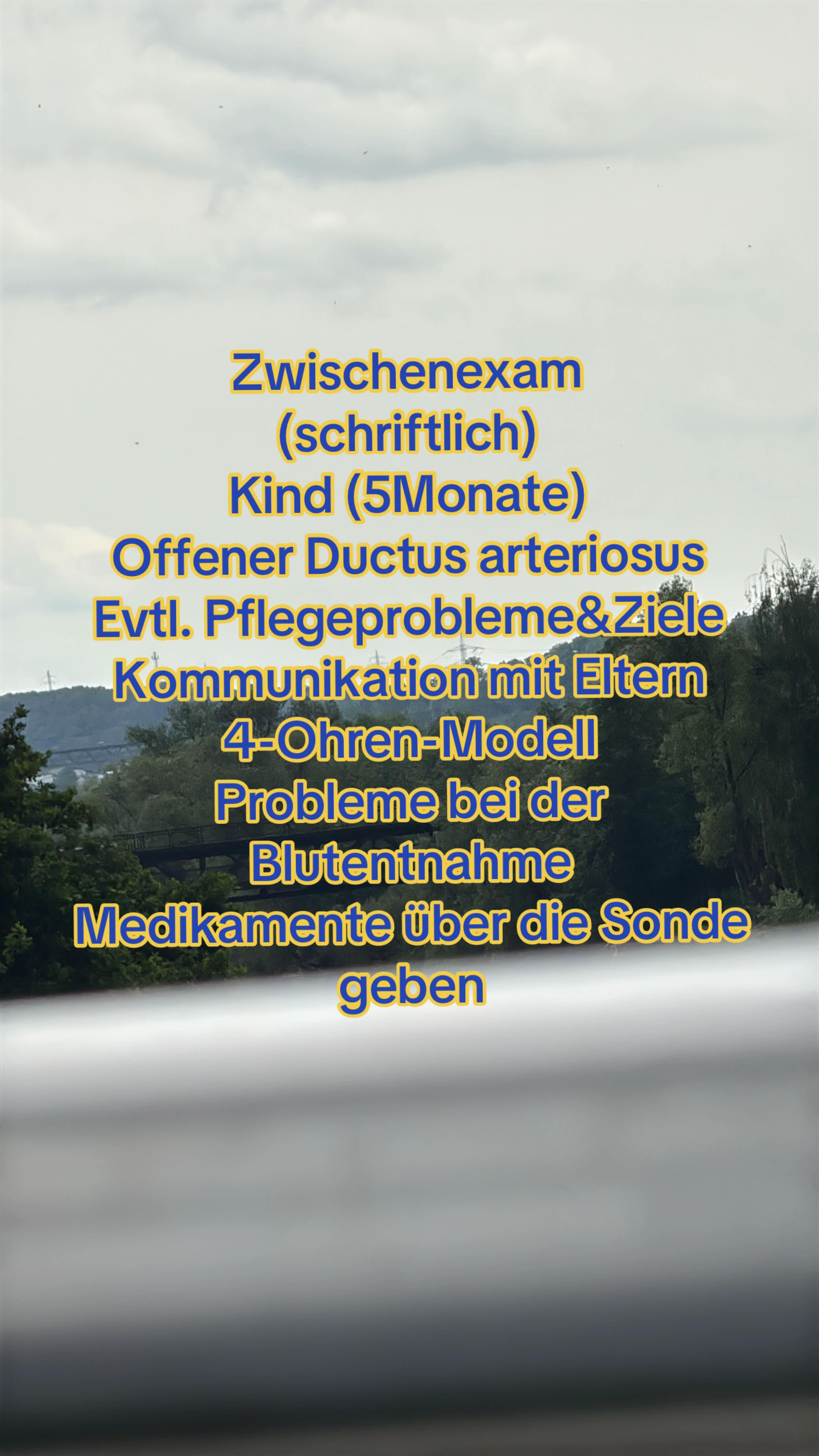 @pflegemaus