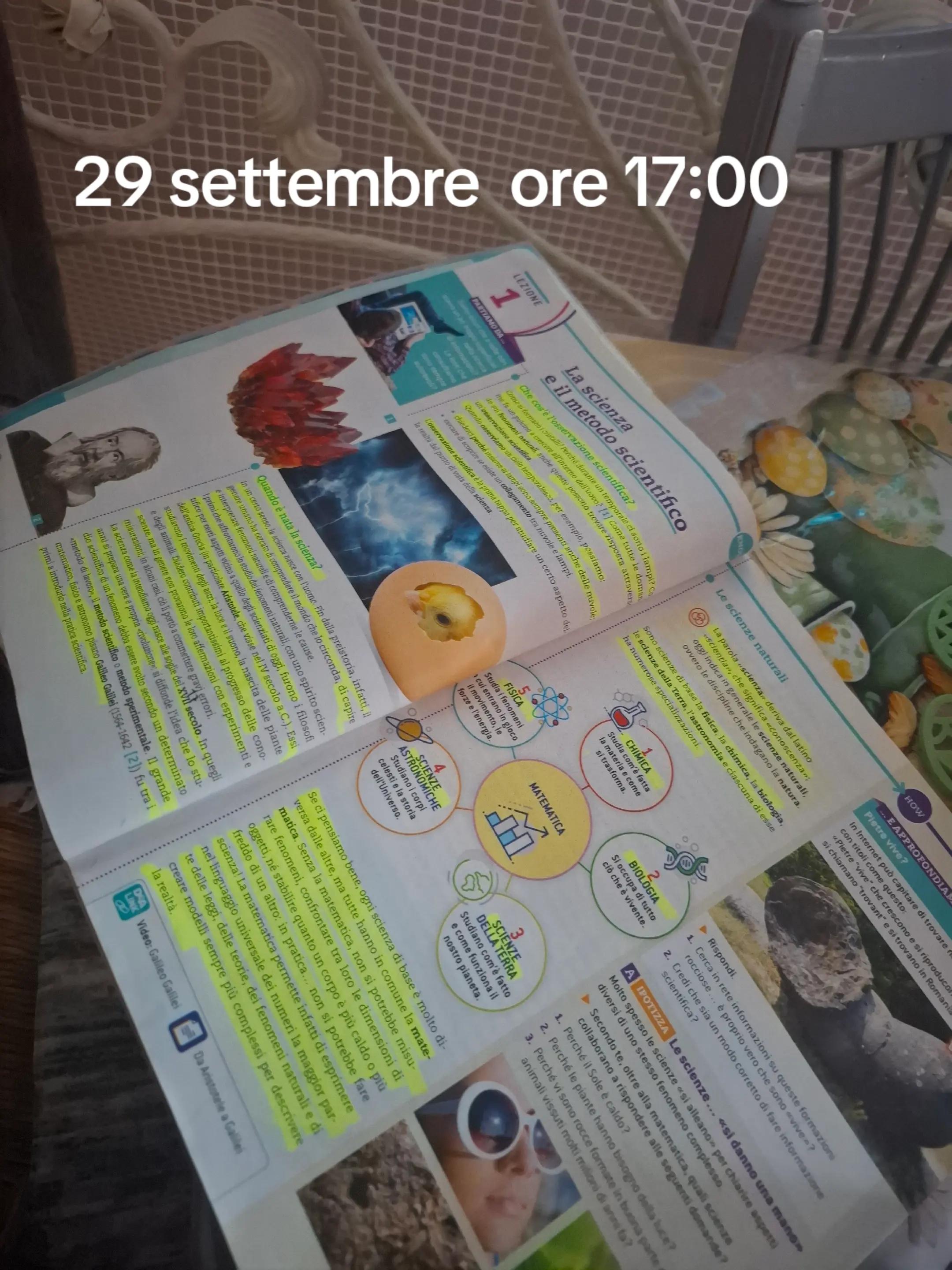 @Francesca Nigro