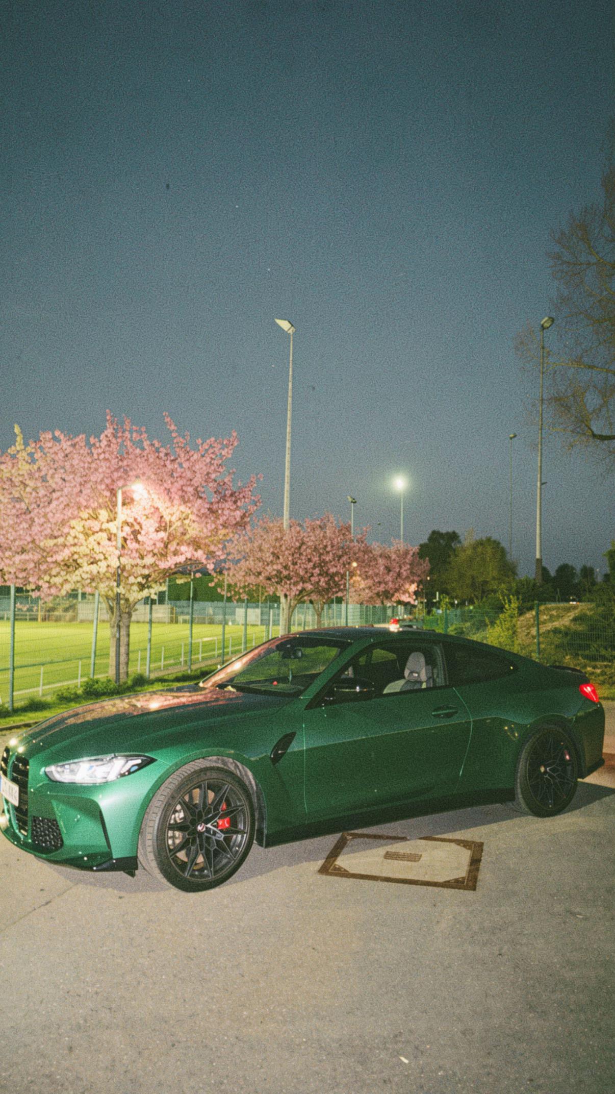 @Nihal💚