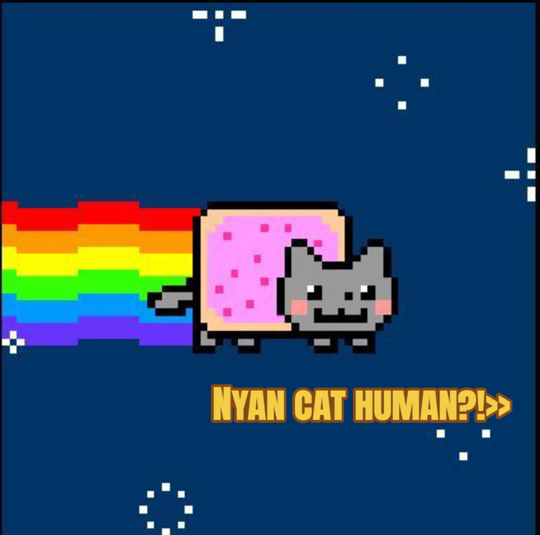 @KITTY