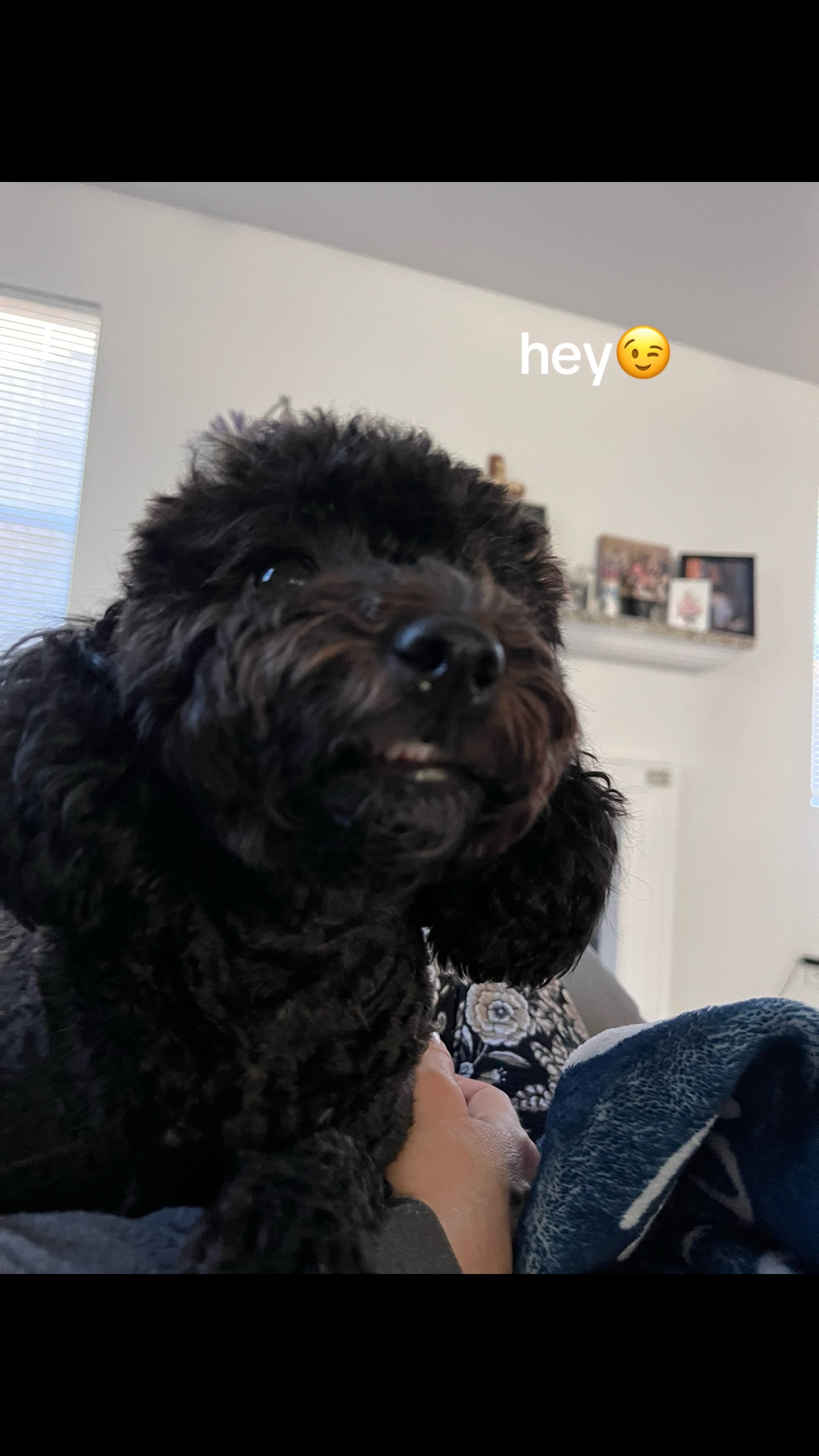 @szb