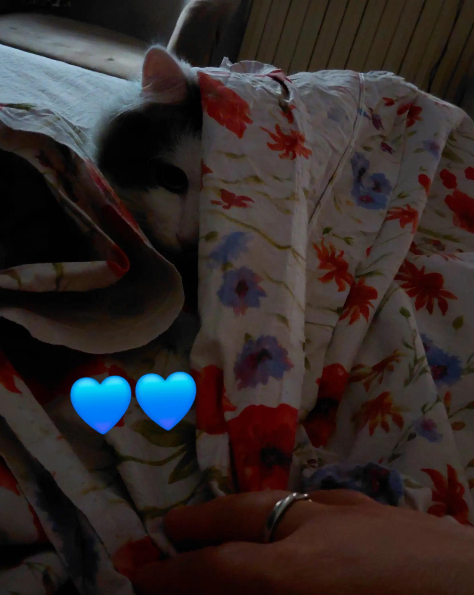 @♥︎‿♥︎🅶🅴🅽🆃🅰♥︎‿♥︎