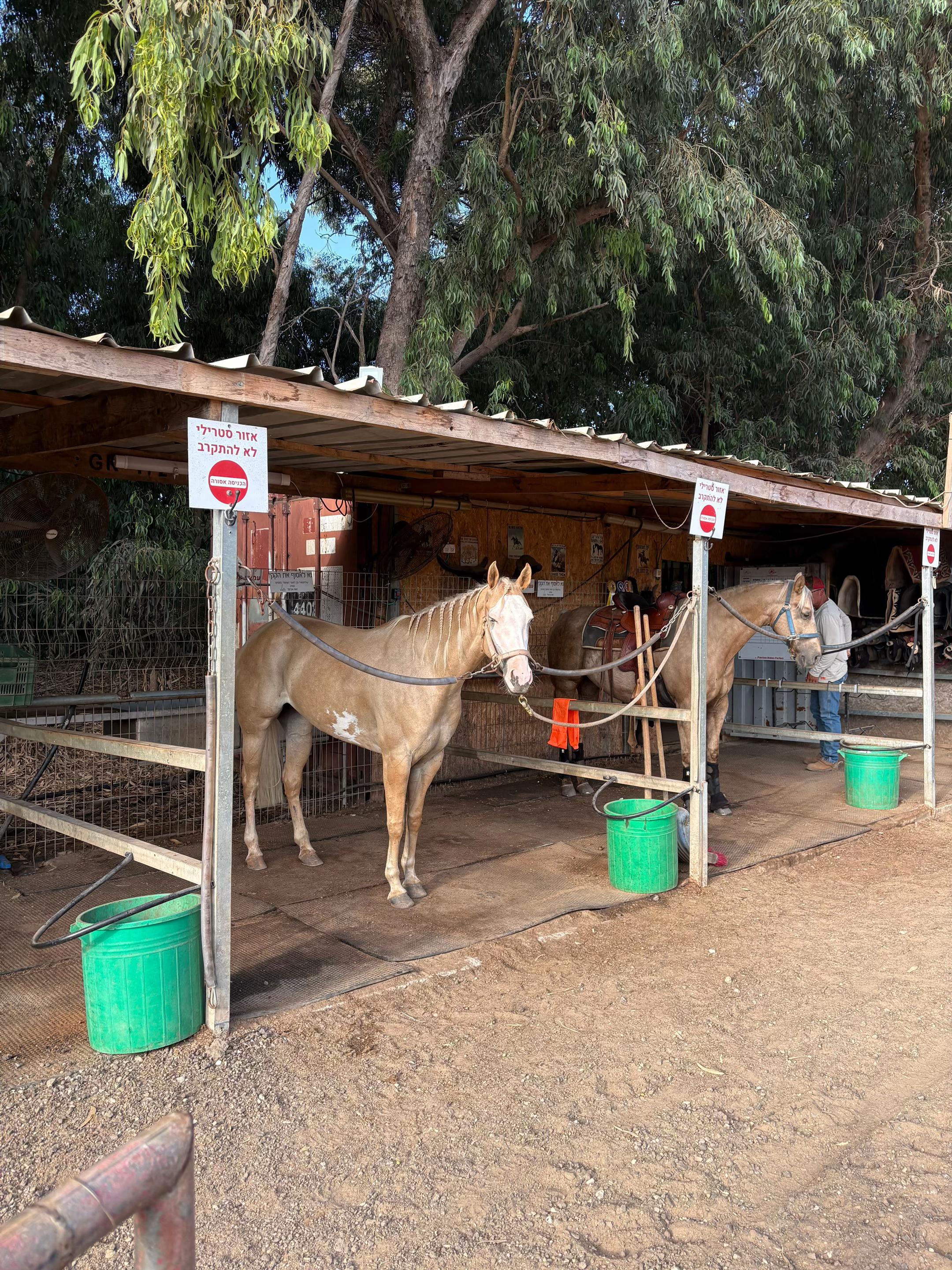 @Omer Meir | עומר מאיר
