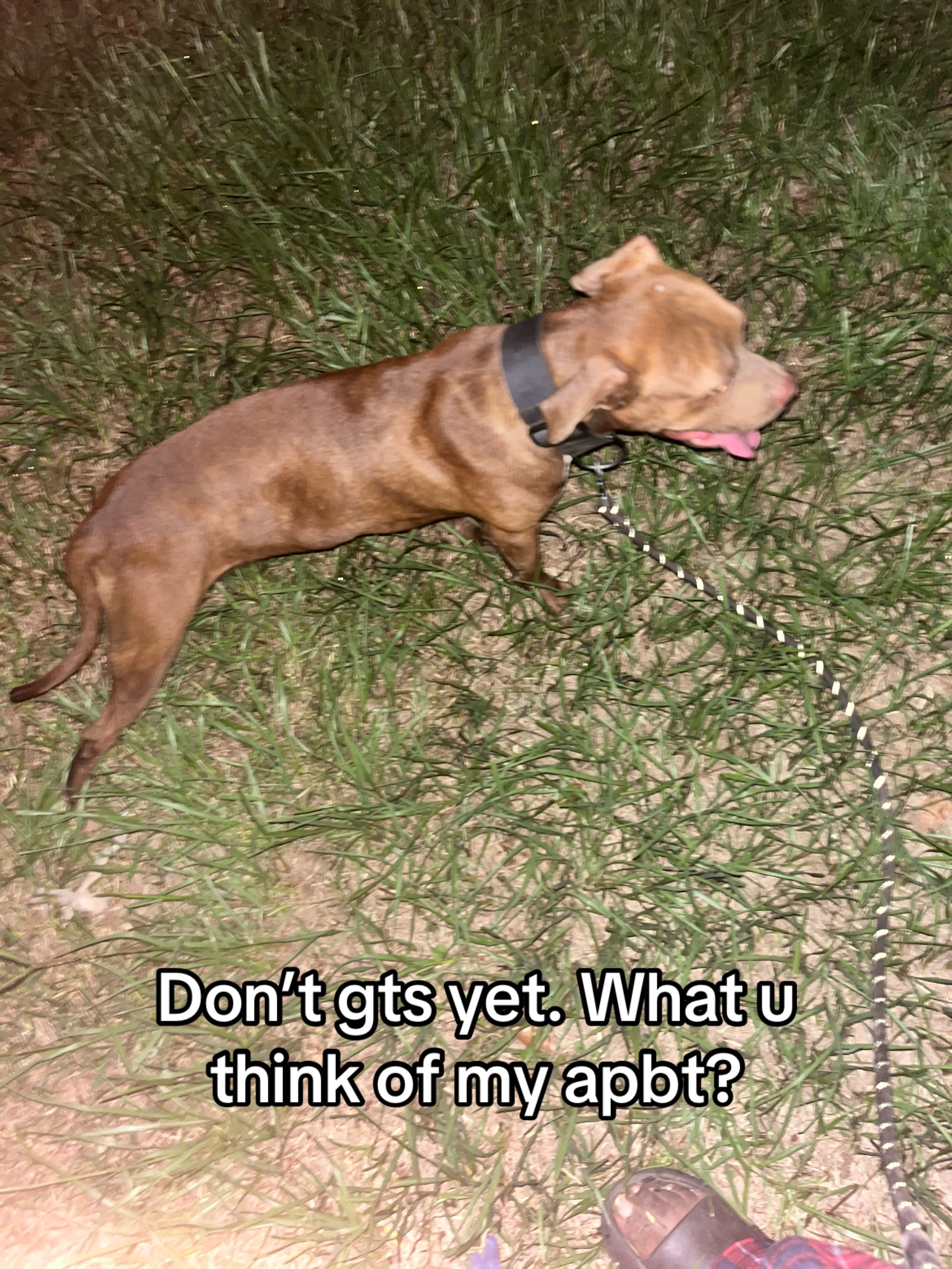 @kamwithapbt