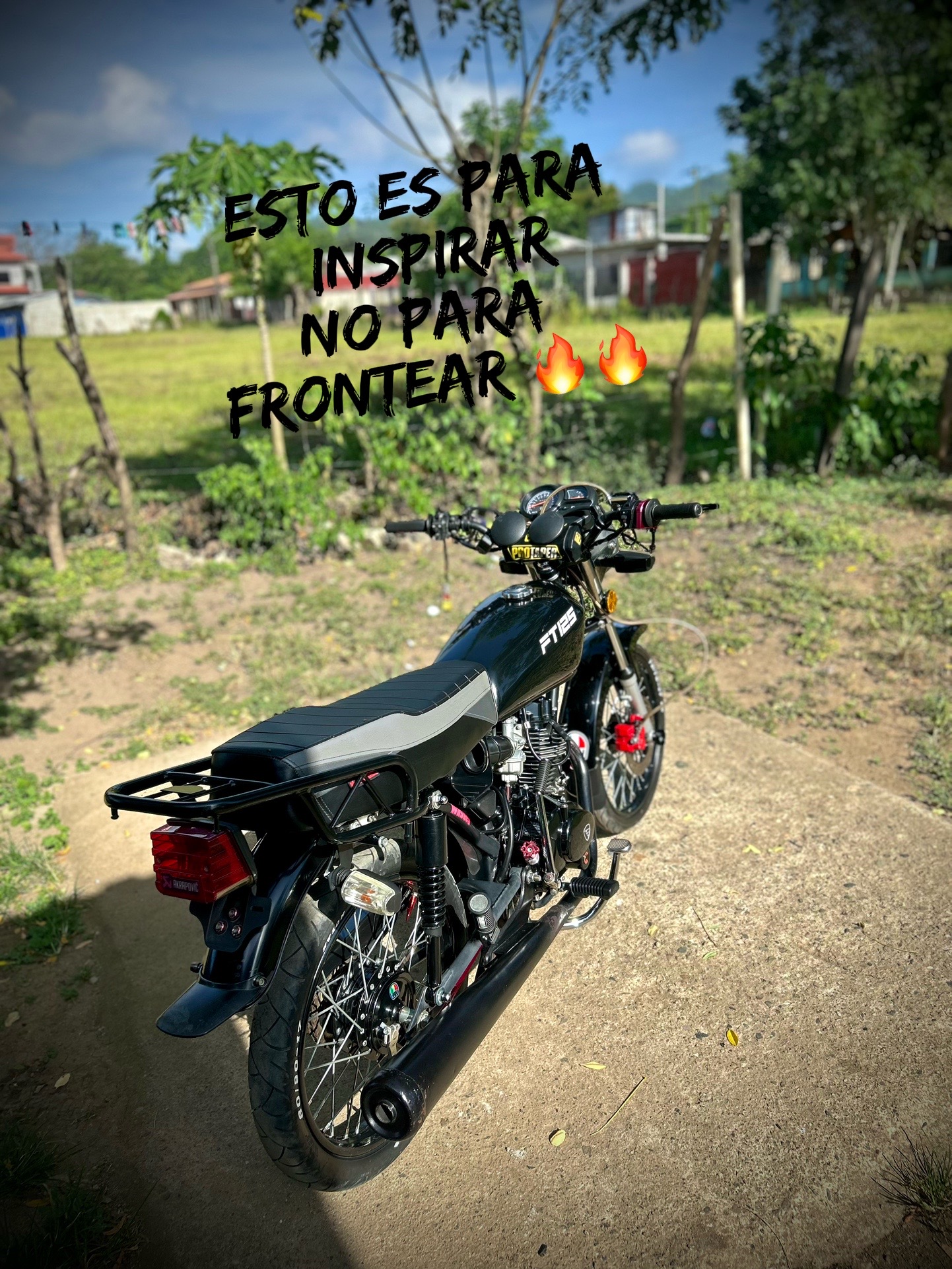 @Brayan🦍