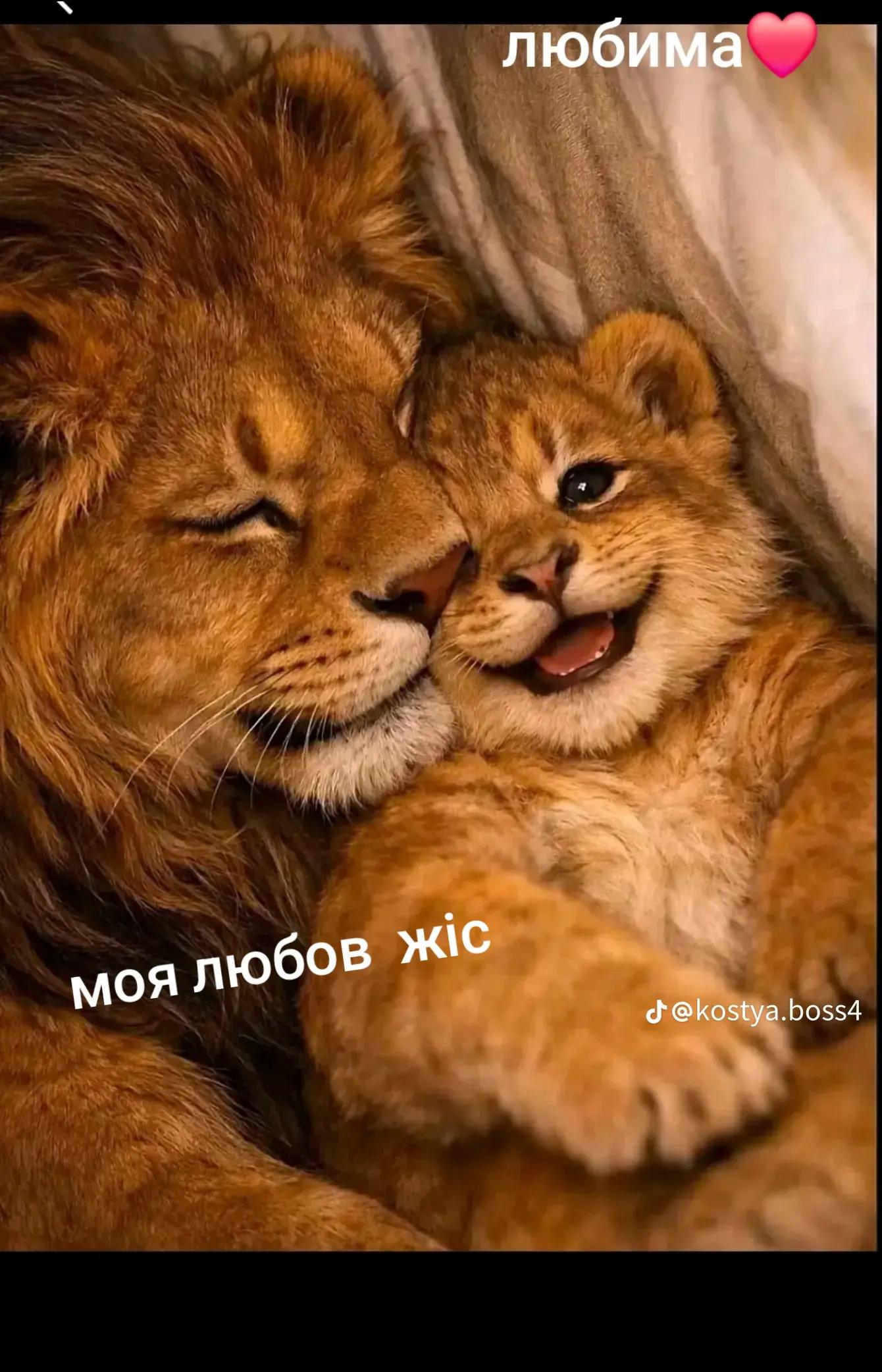 @Maria Stankovc