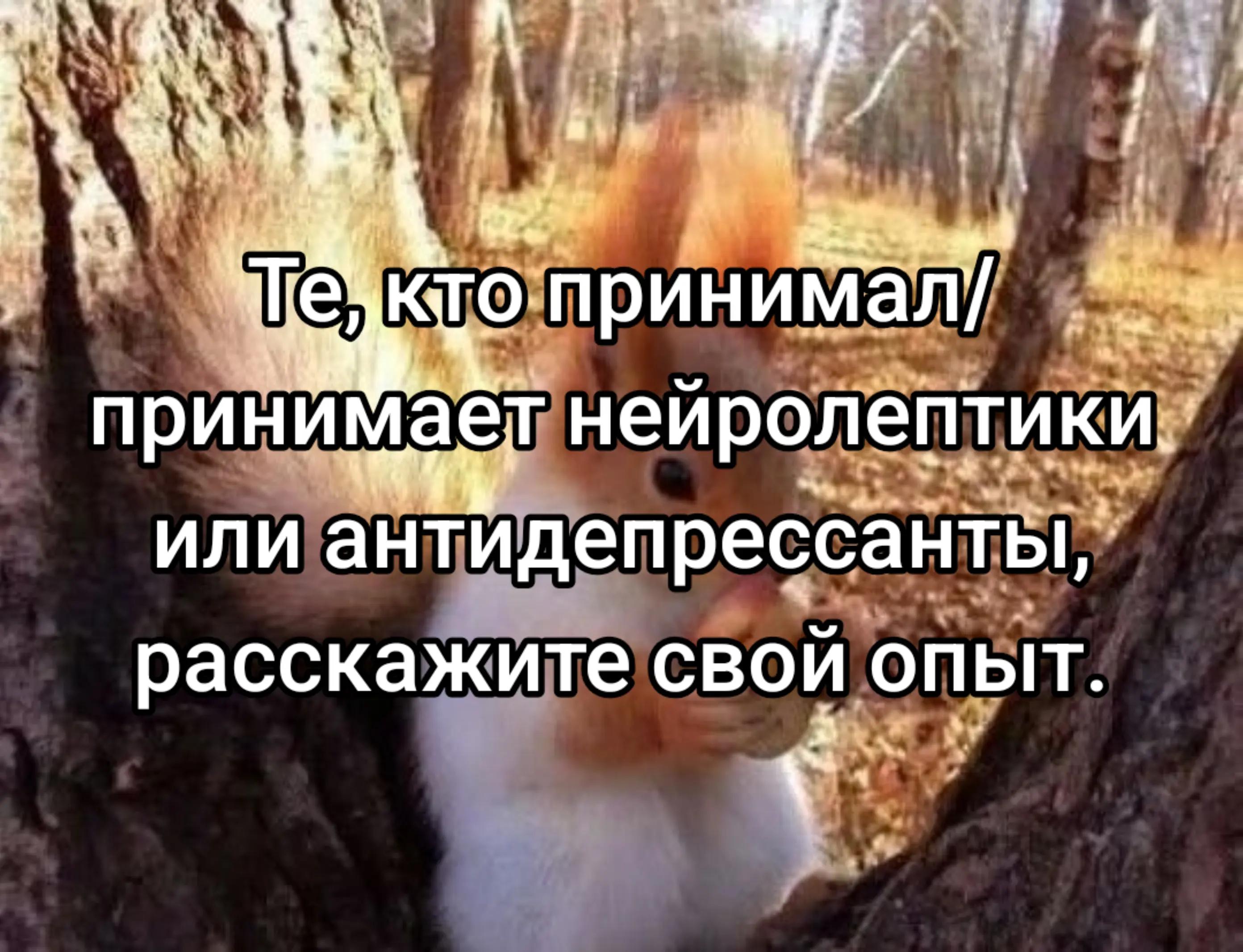 @squirrel 🐿️