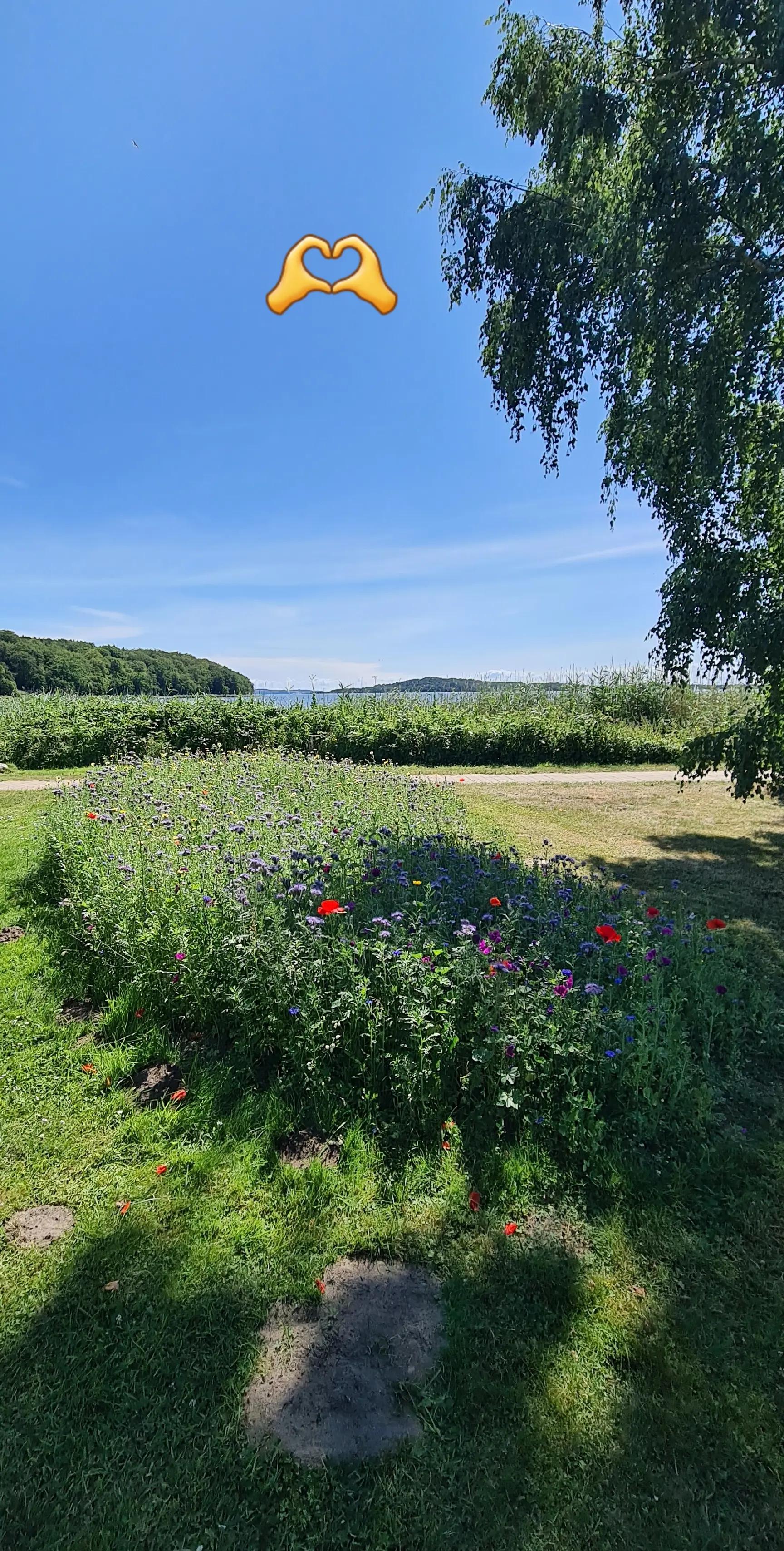 @Carola68 🏝Team Insel Rügen🏝