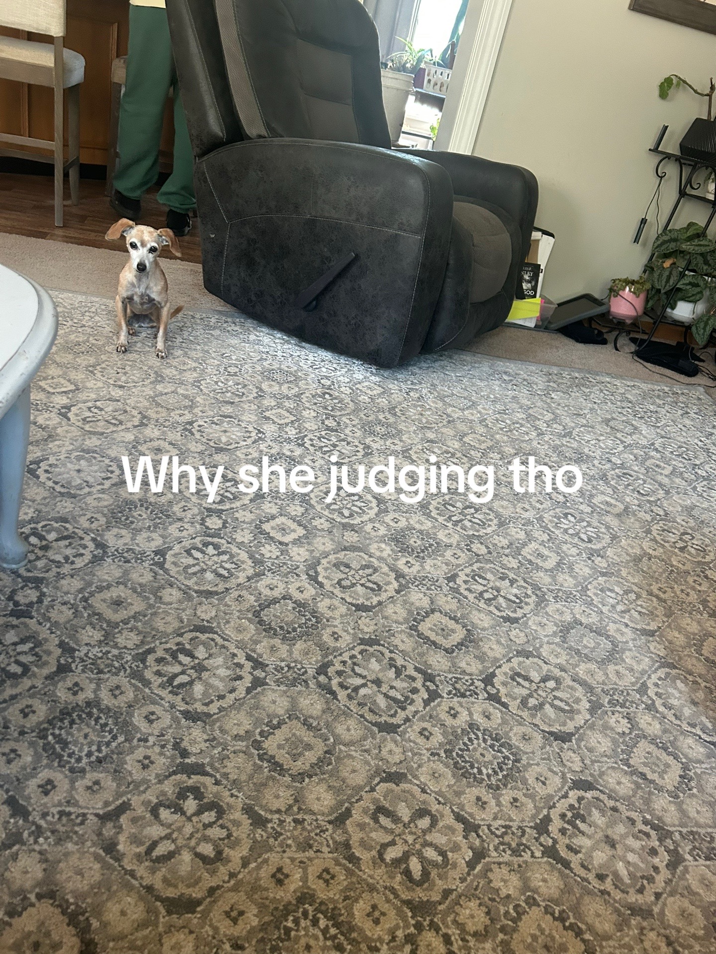 @Tavares