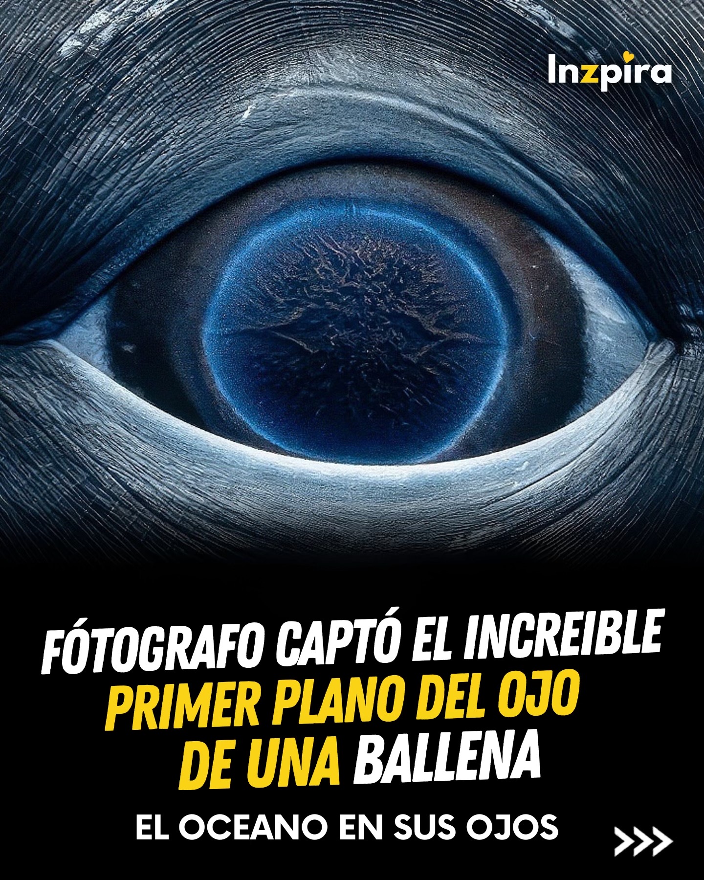 @inzpira.oficial