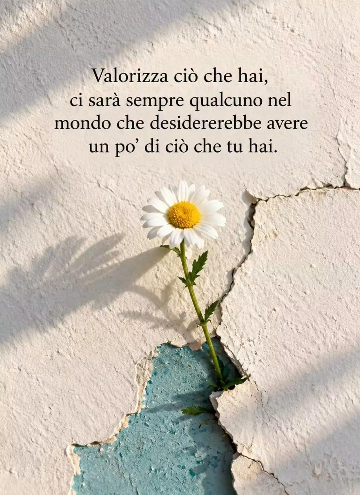 @Acatrini Roca Monica