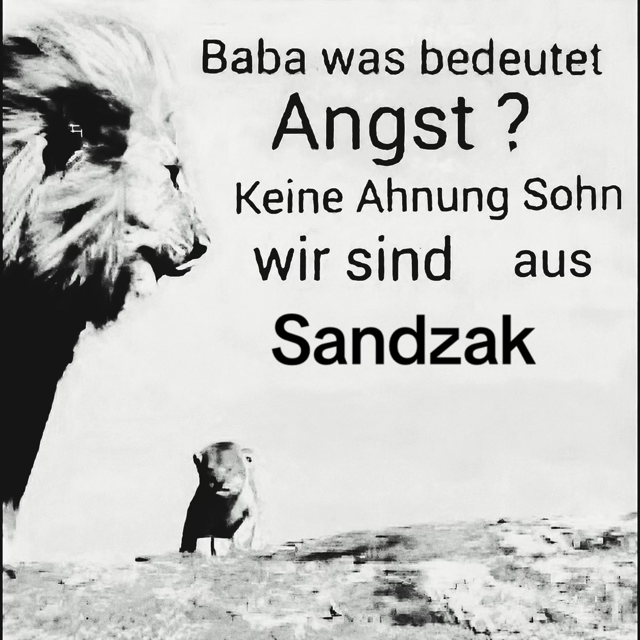 @sandzakwarrior1