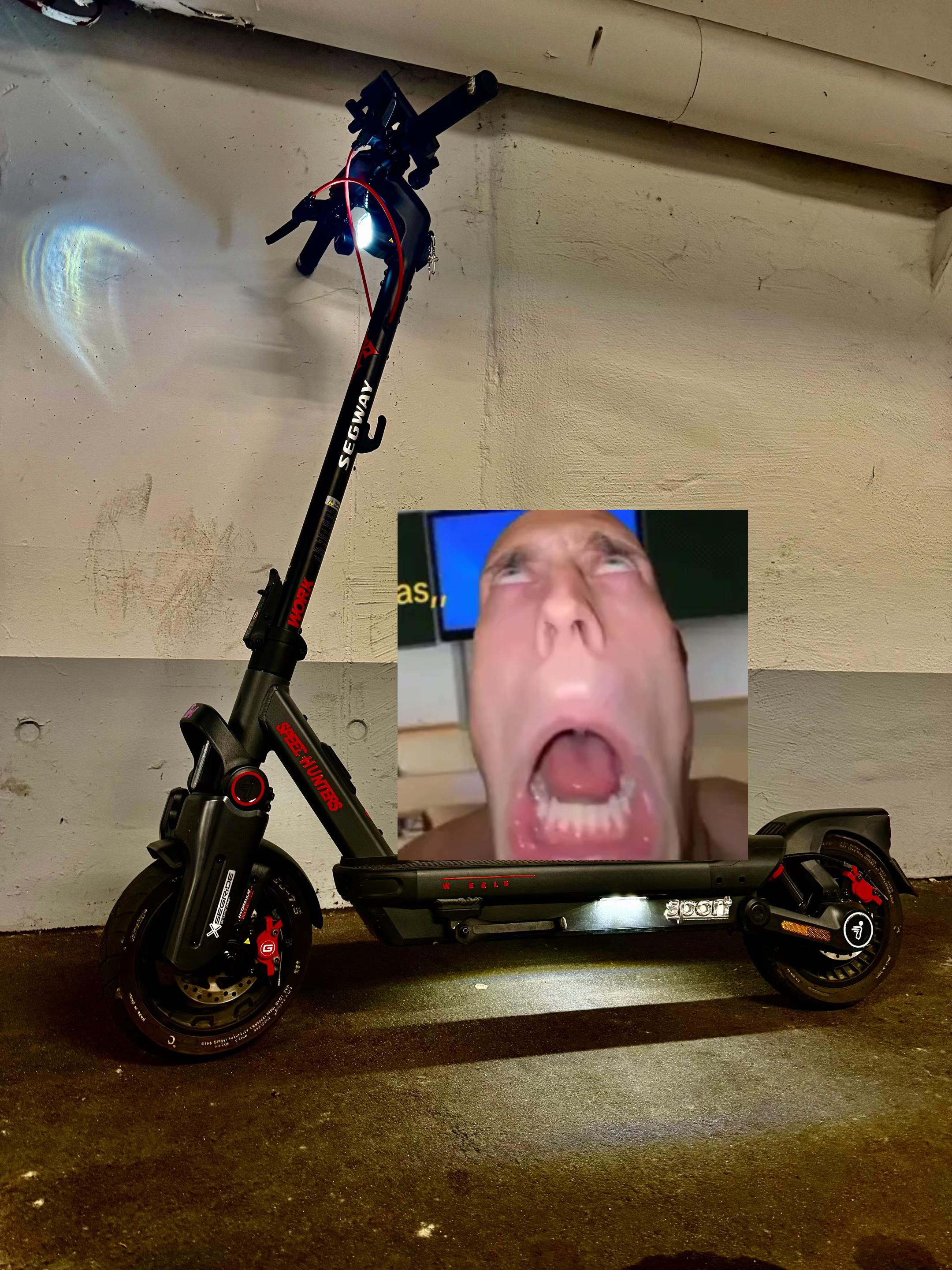 @murdered_segway