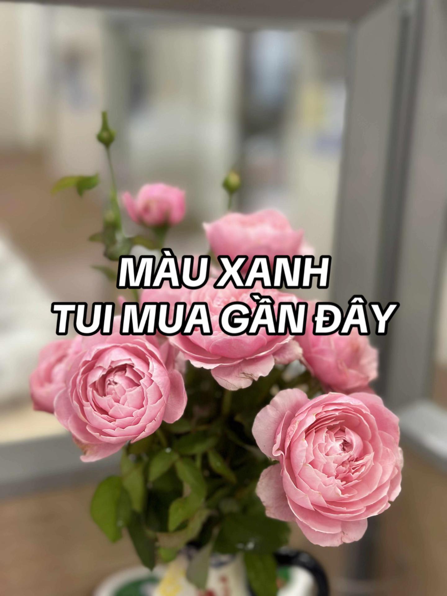 @Mẹ Lucie chăm nh&agrave;
