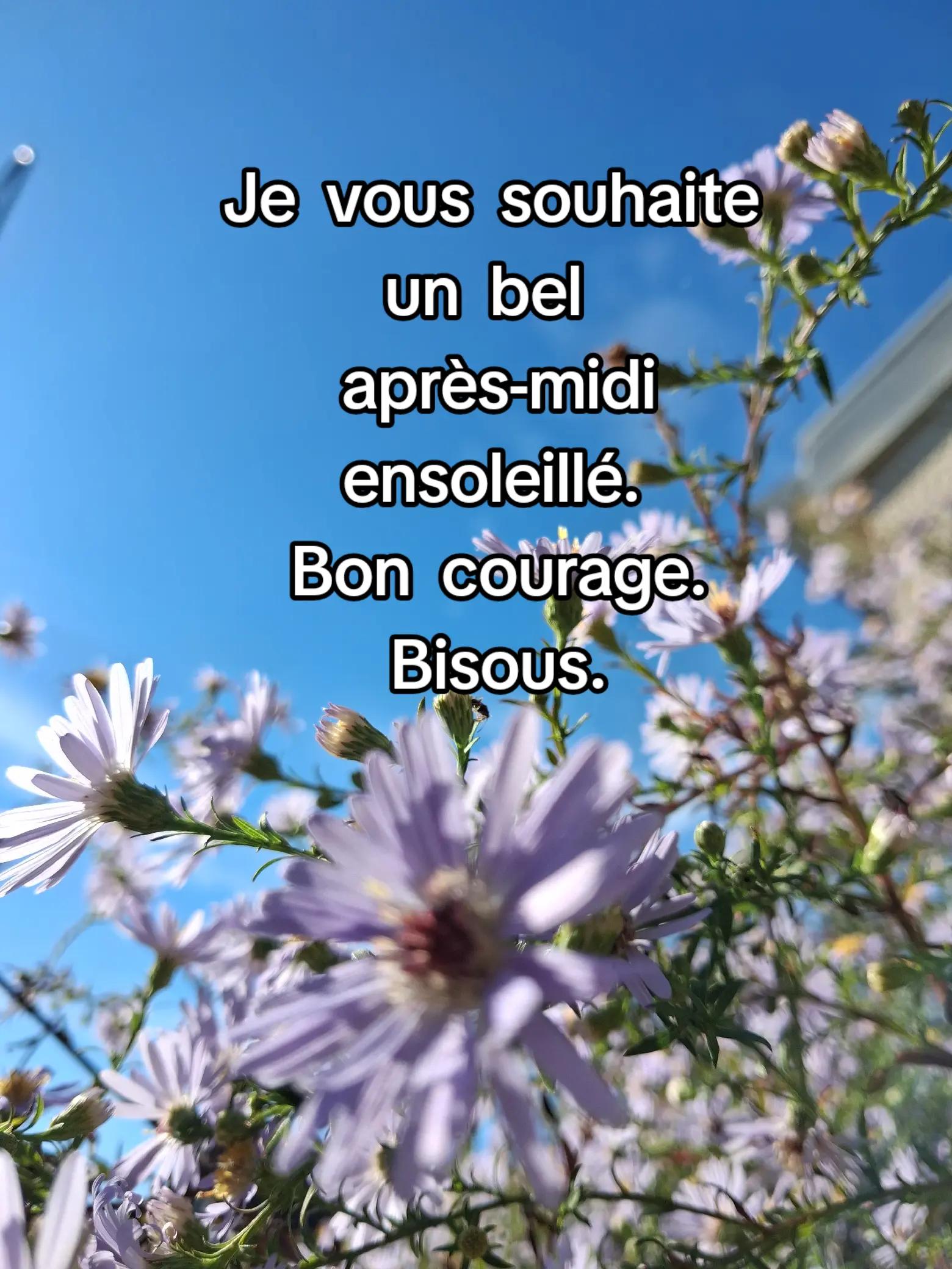 @🌹Douce&passionnée 🌹