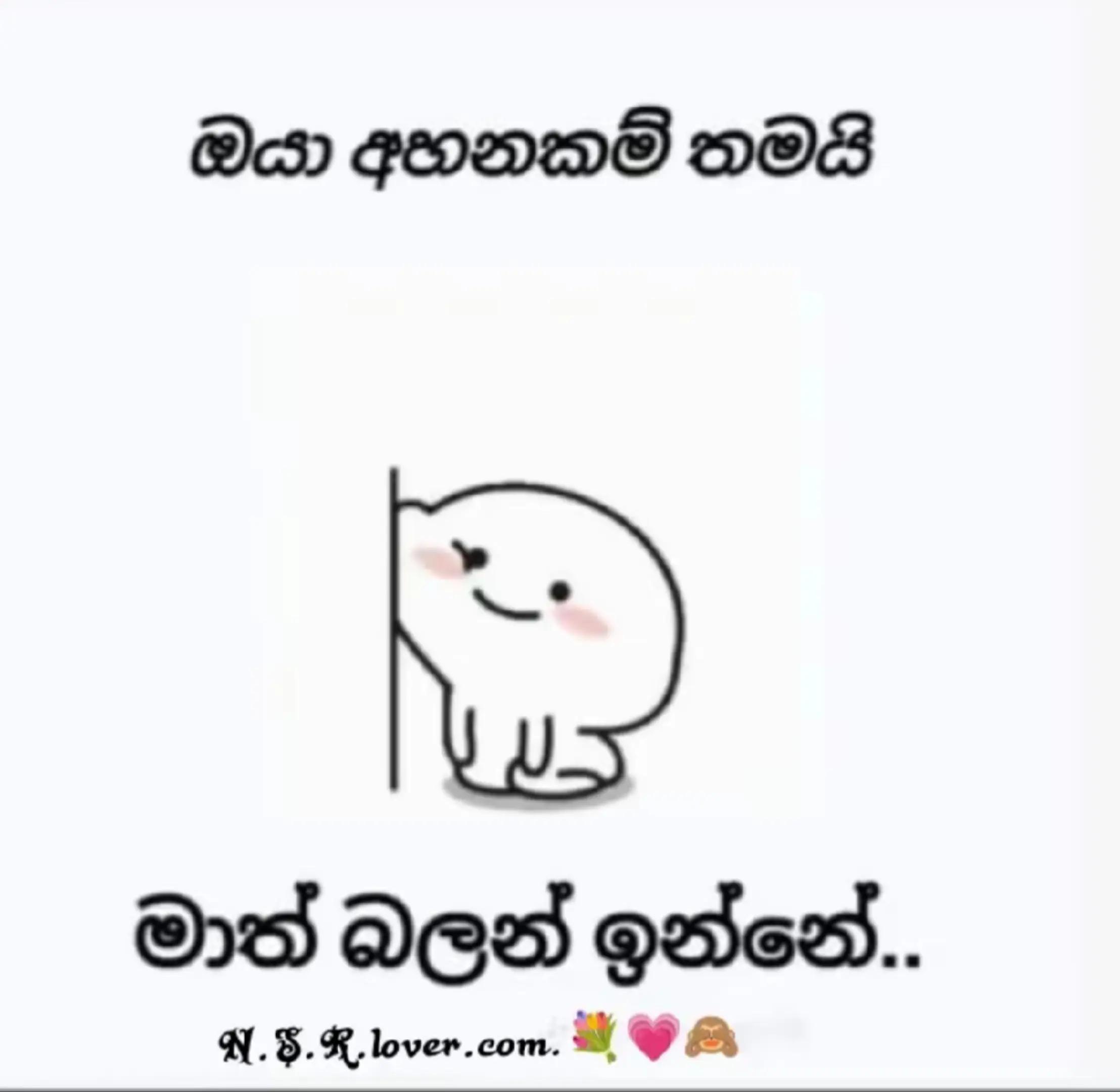 @nethu 💗