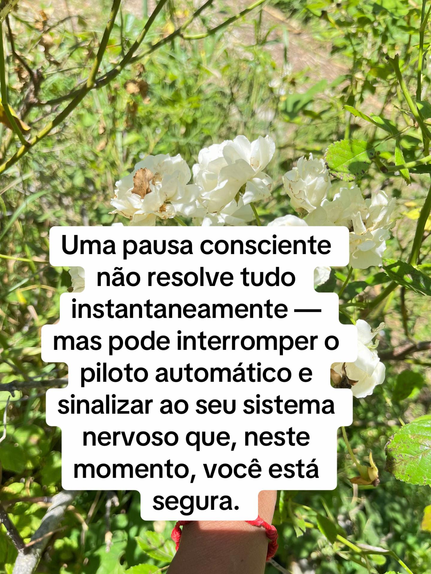 @Vanessa E. Santos | Terapeuta