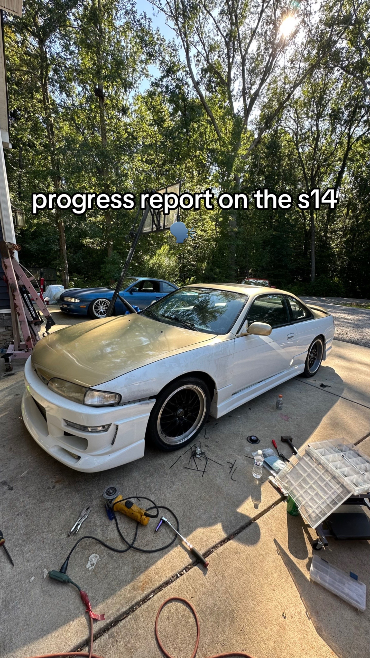 @s13.braeden