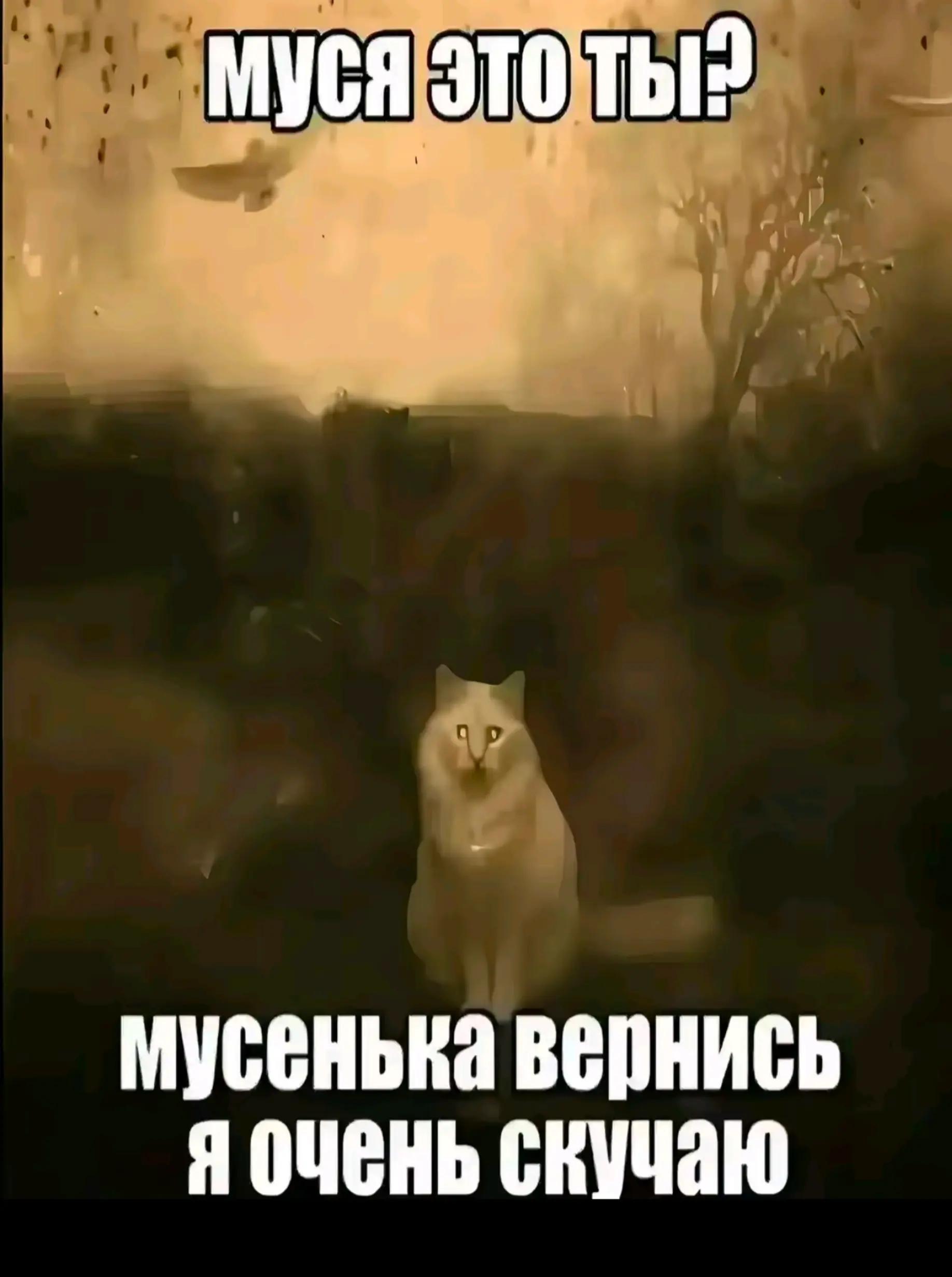 @RESK