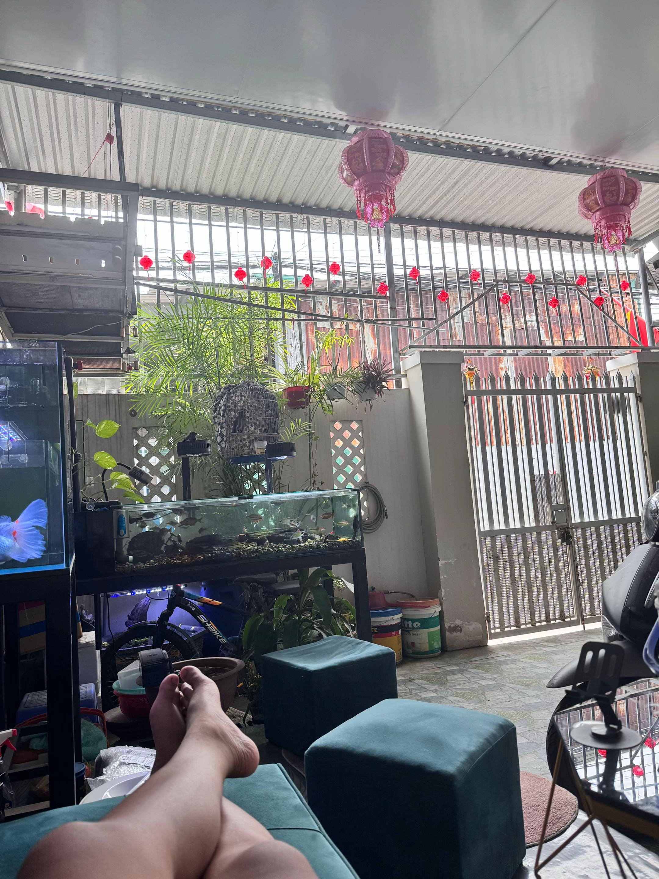 @Em Huy đang ở 85🍇